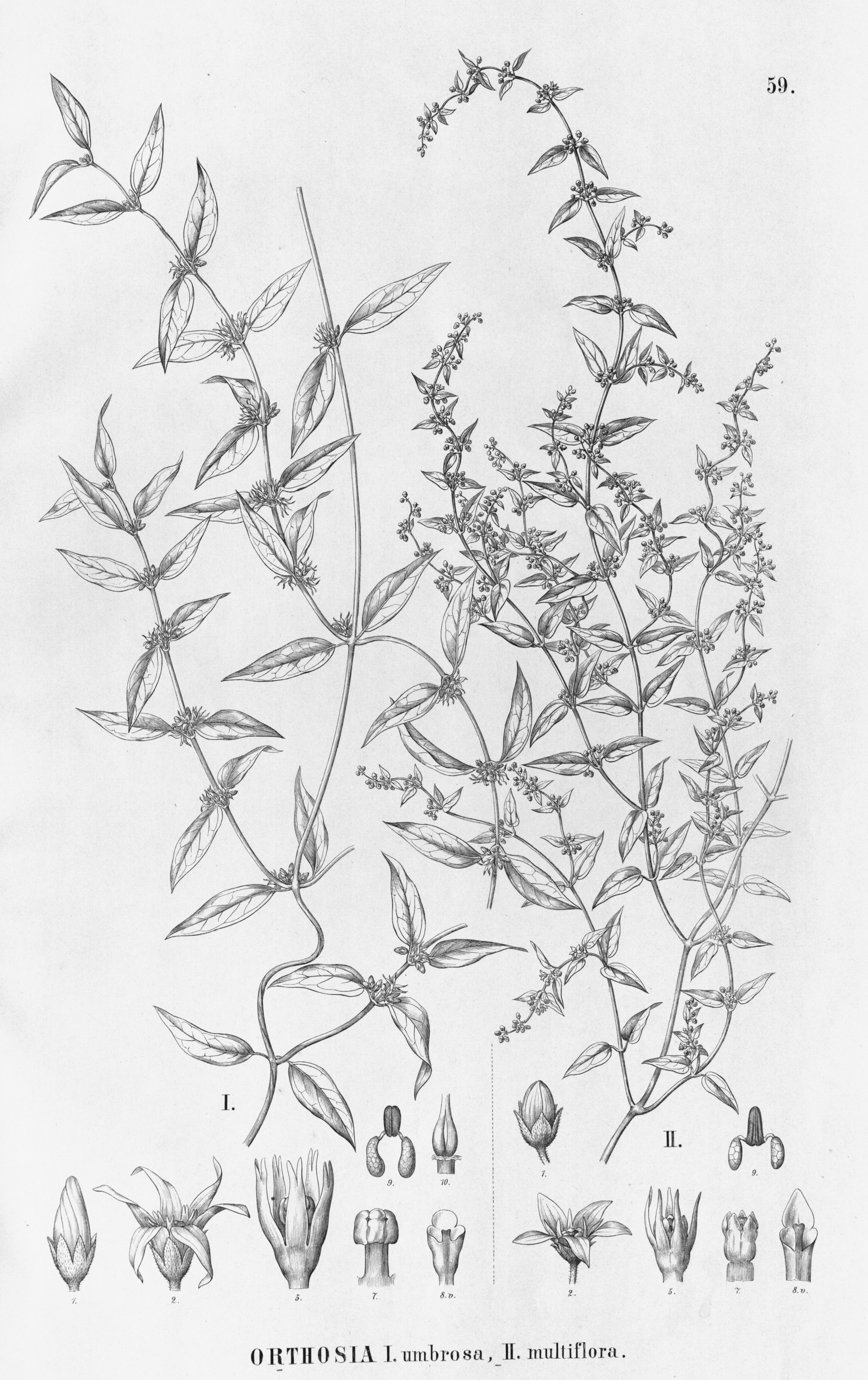 no full size  illustration available (3a)