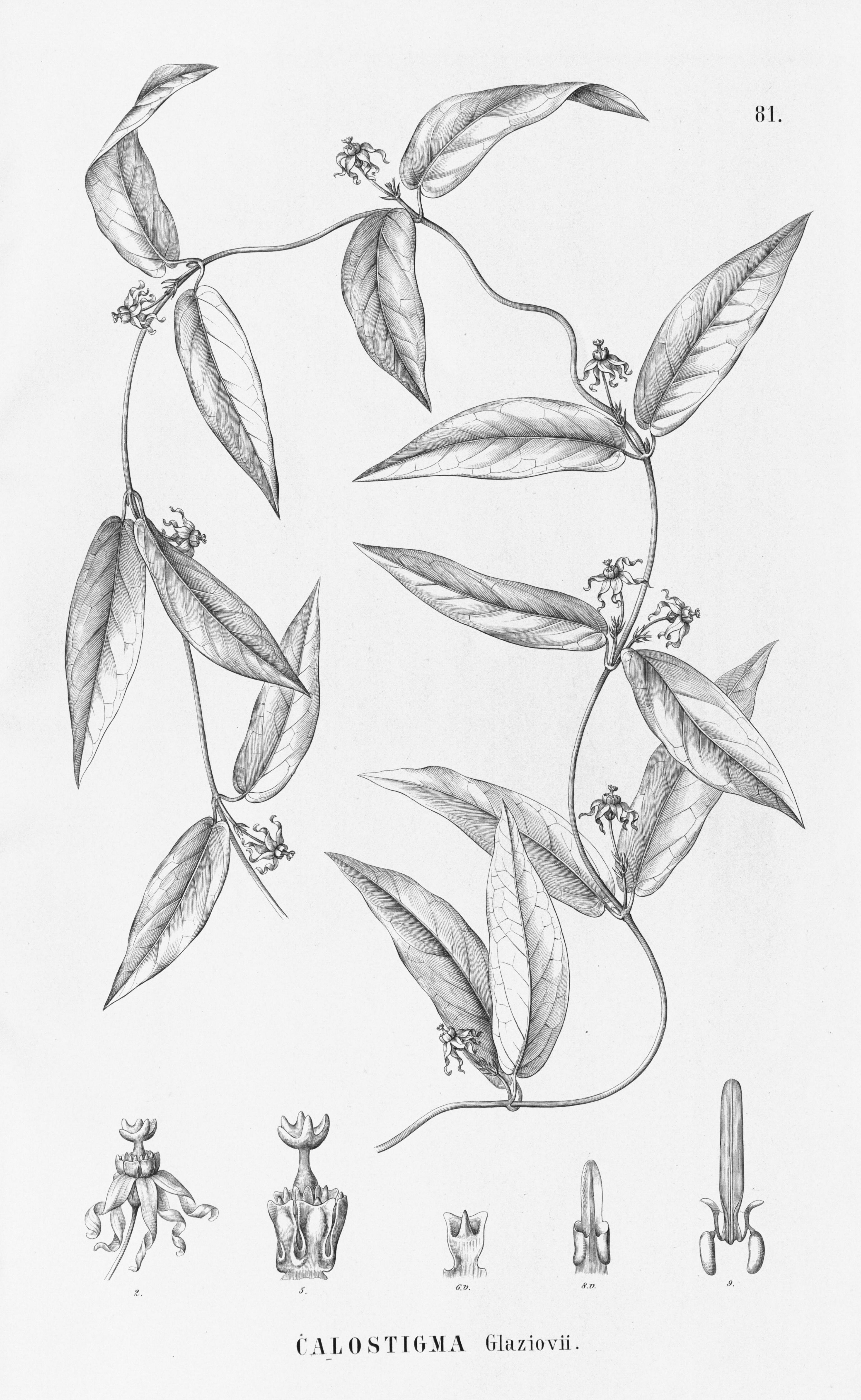 no full size  illustration available (3a)