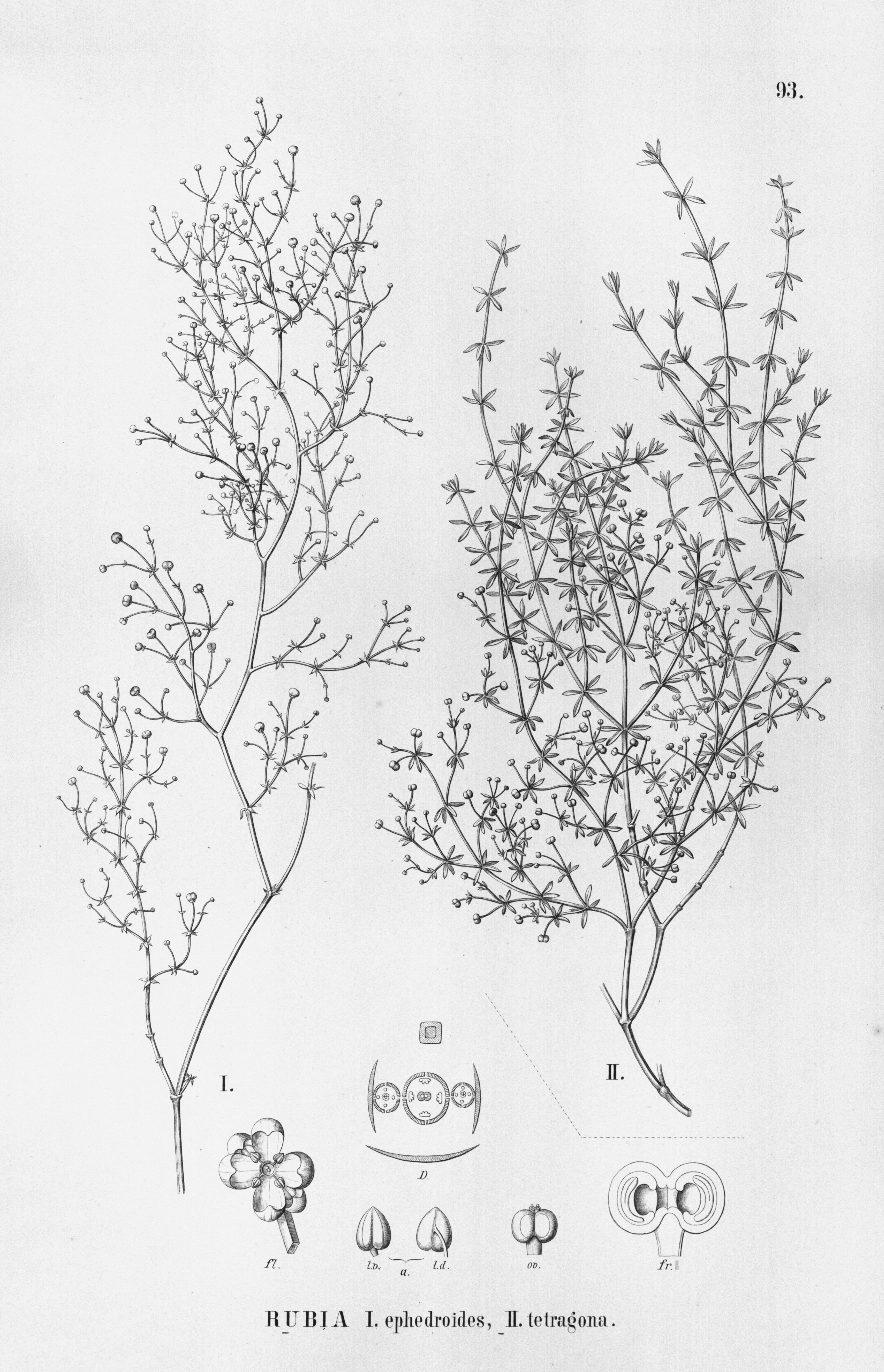 no full size  illustration available (3a)