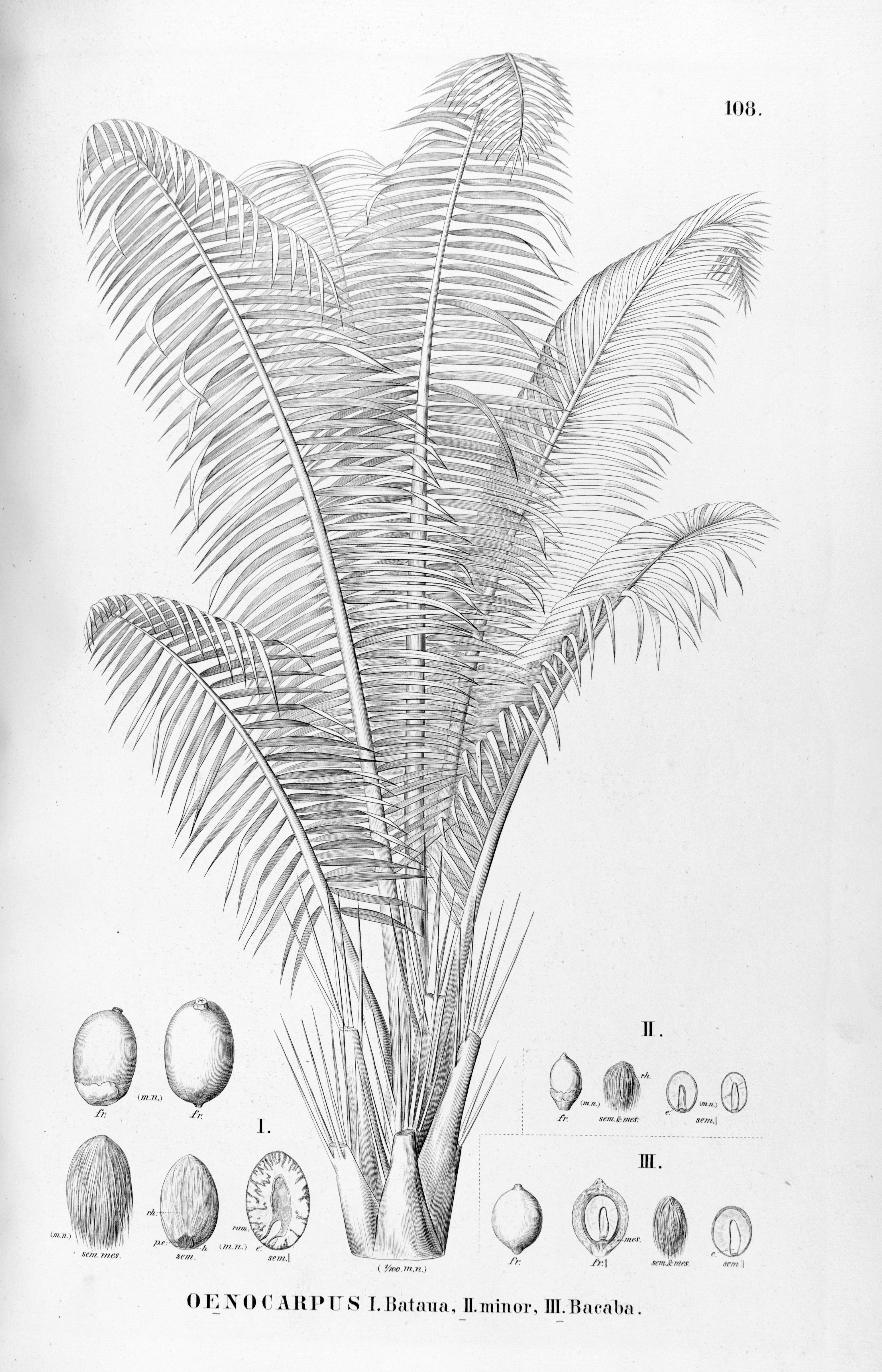 no full size  illustration available (3a)