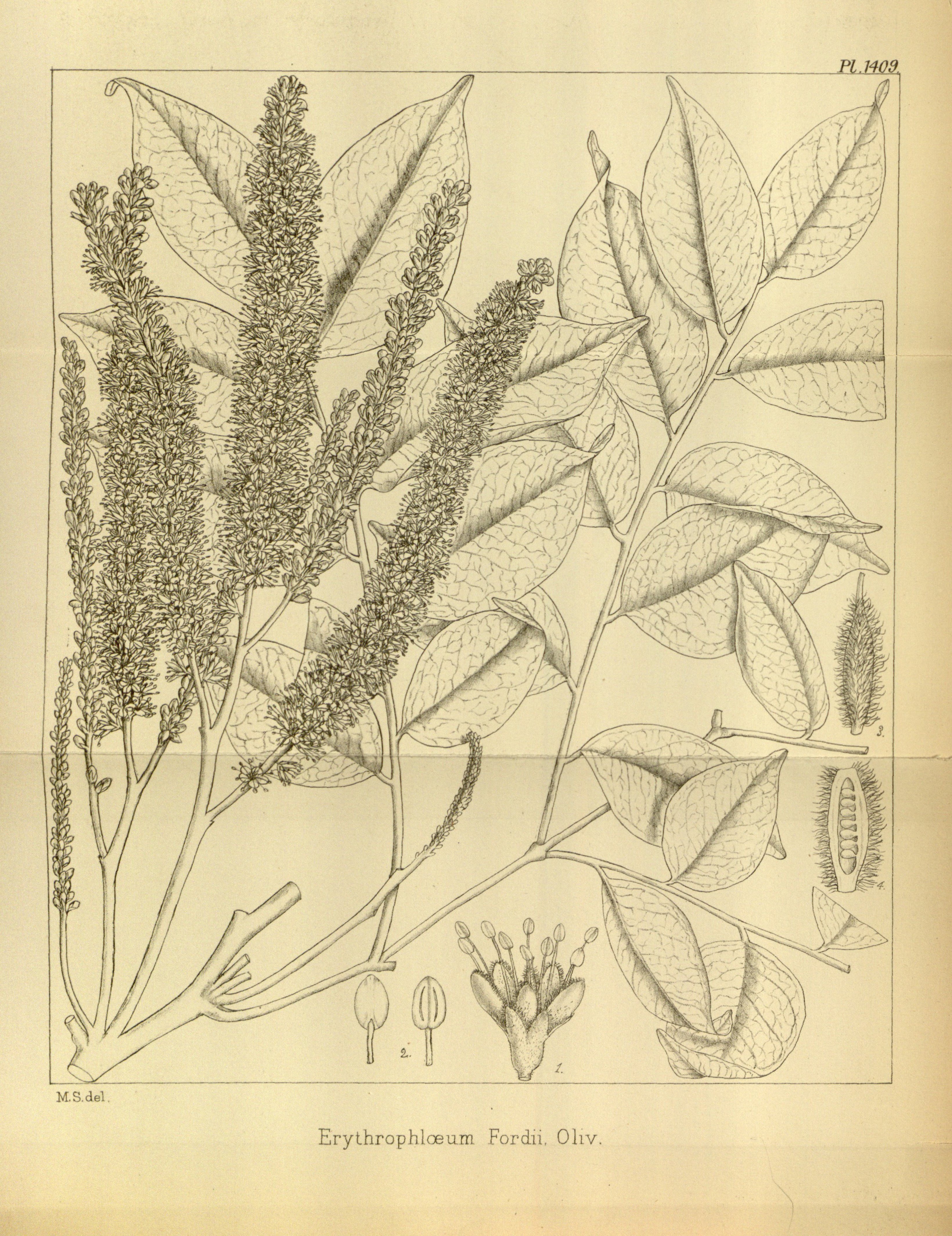 no full size  illustration available (3a)