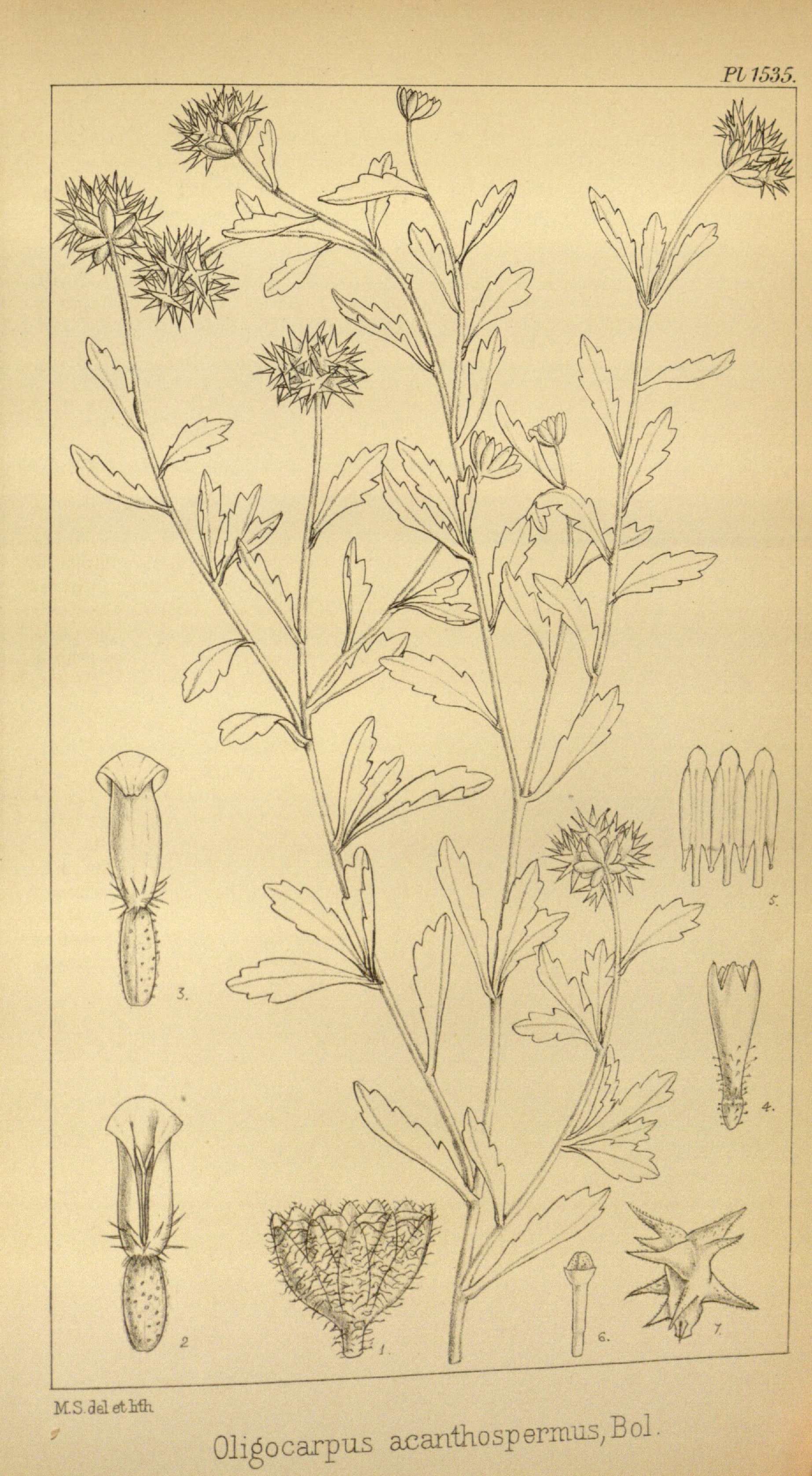 no full size  illustration available (3a)