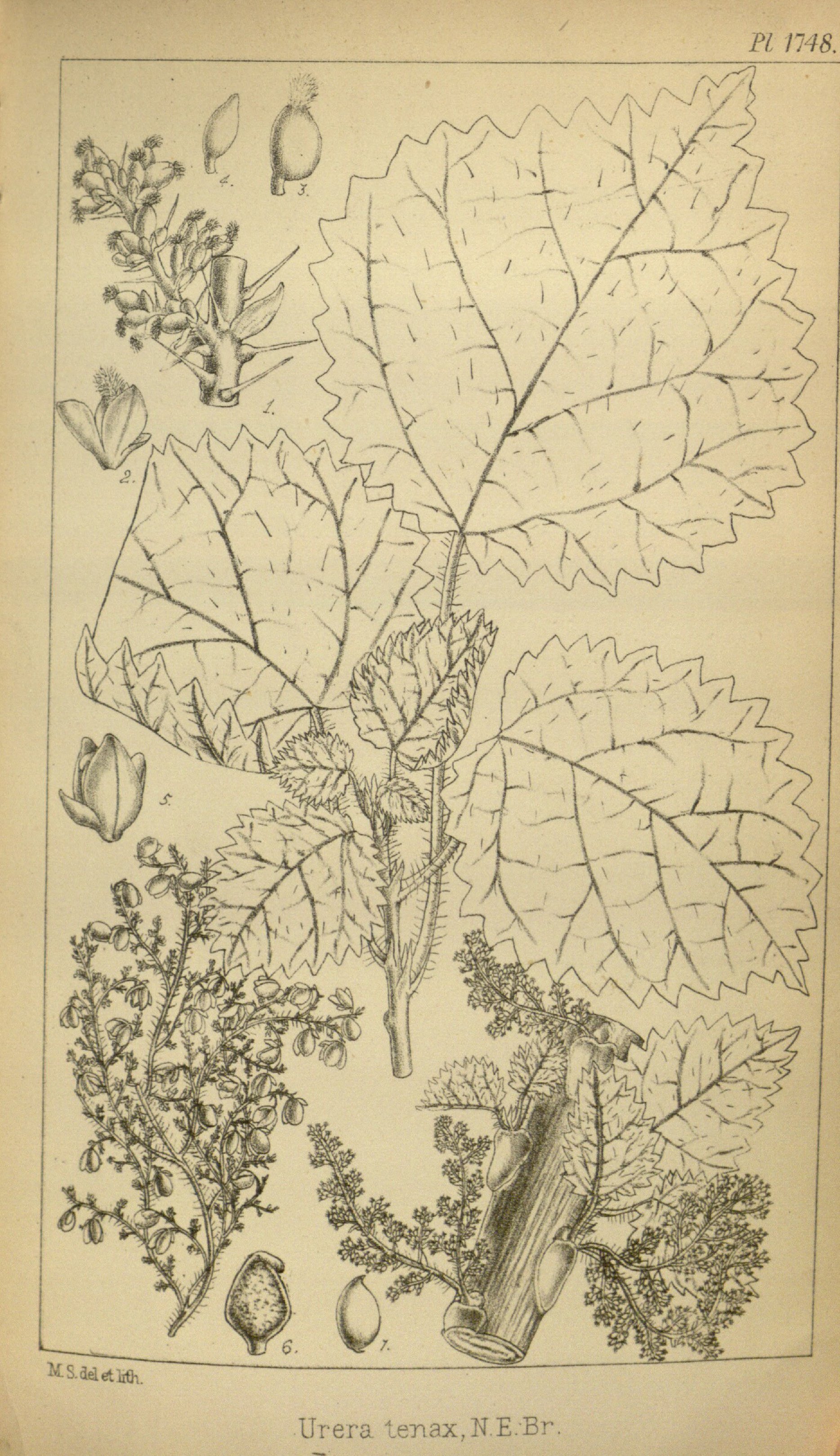 no full size  illustration available (3a)