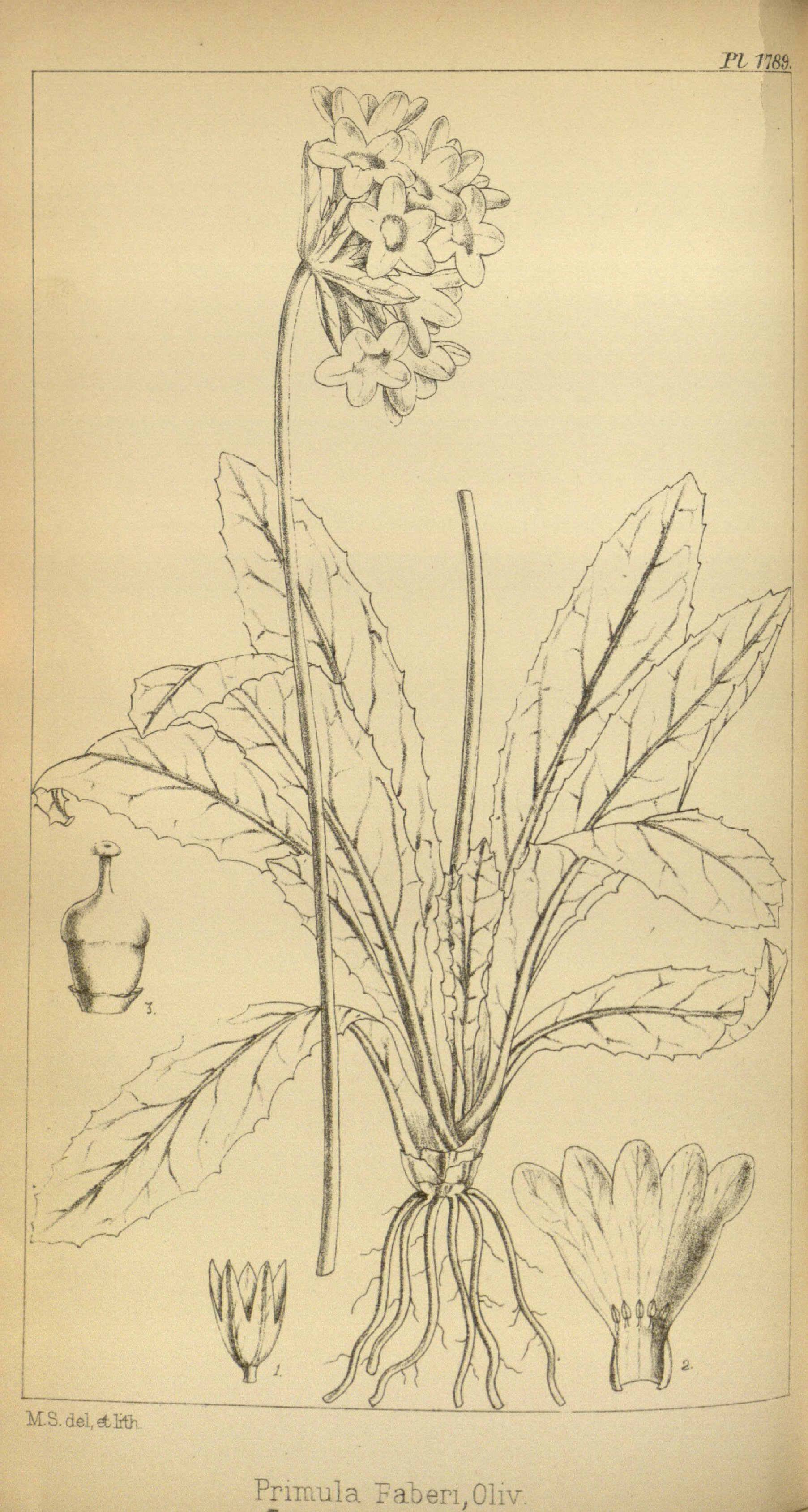 no full size  illustration available (3a)