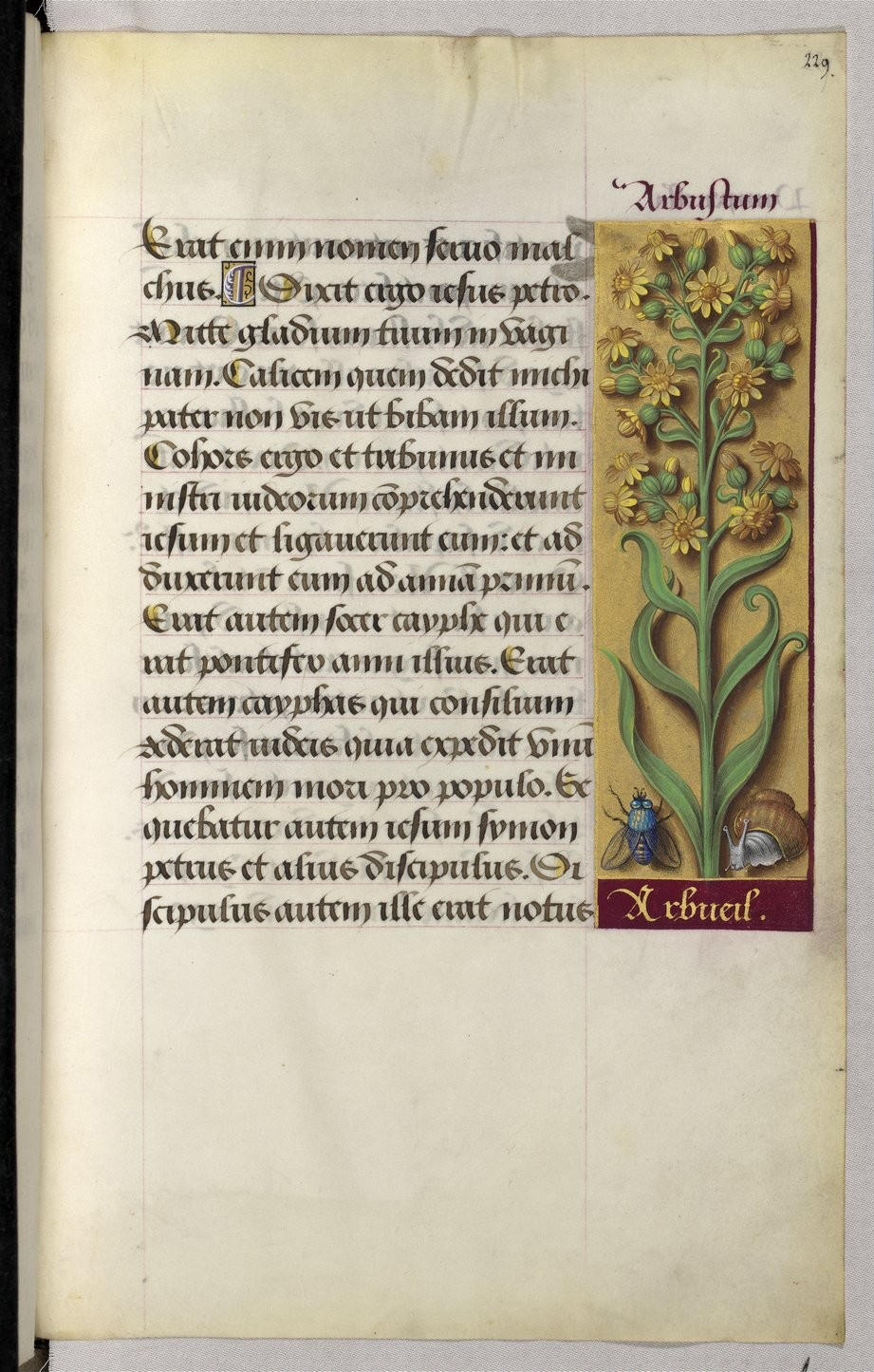 no full size  illustration available (3a)