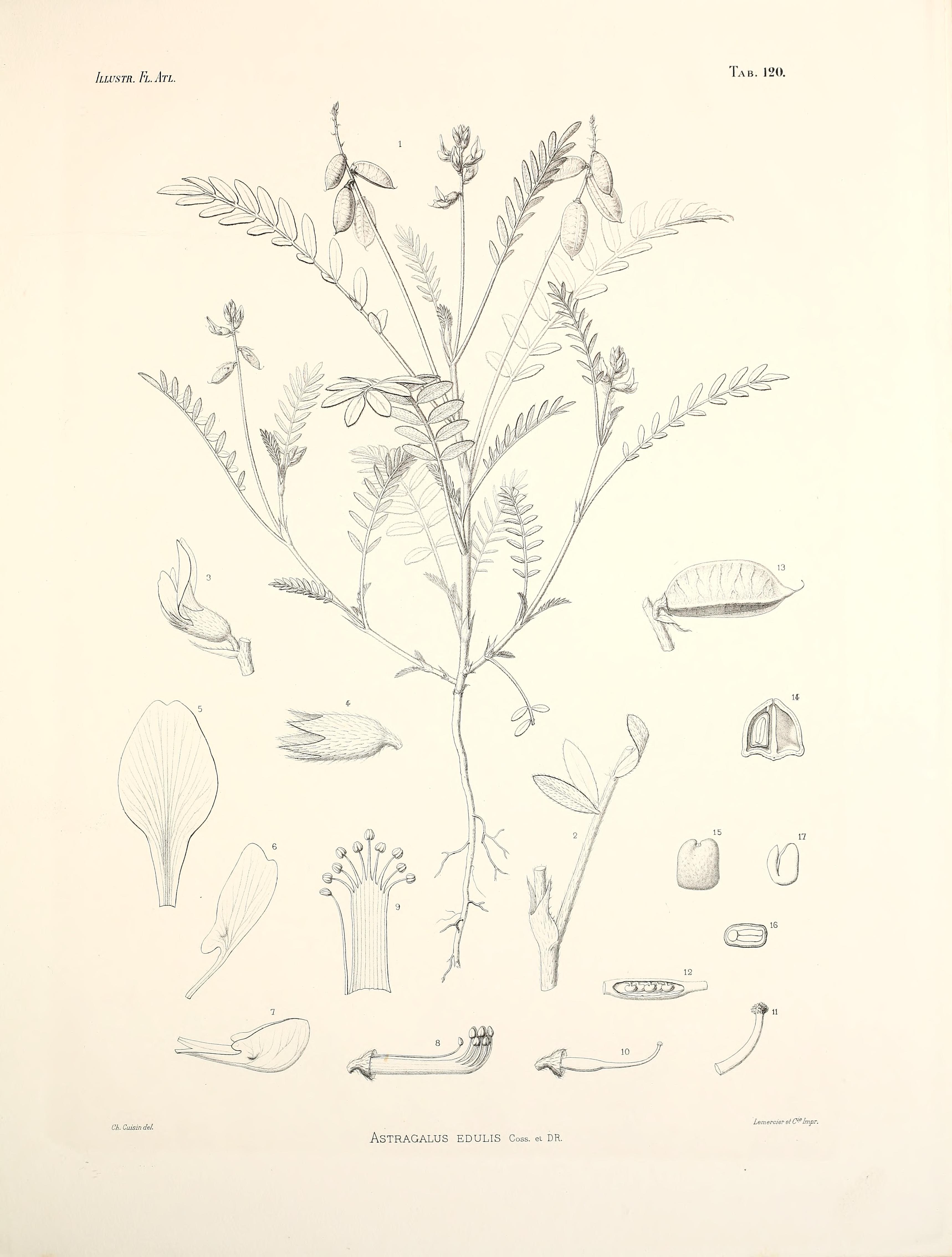 no full size  illustration available (3a)