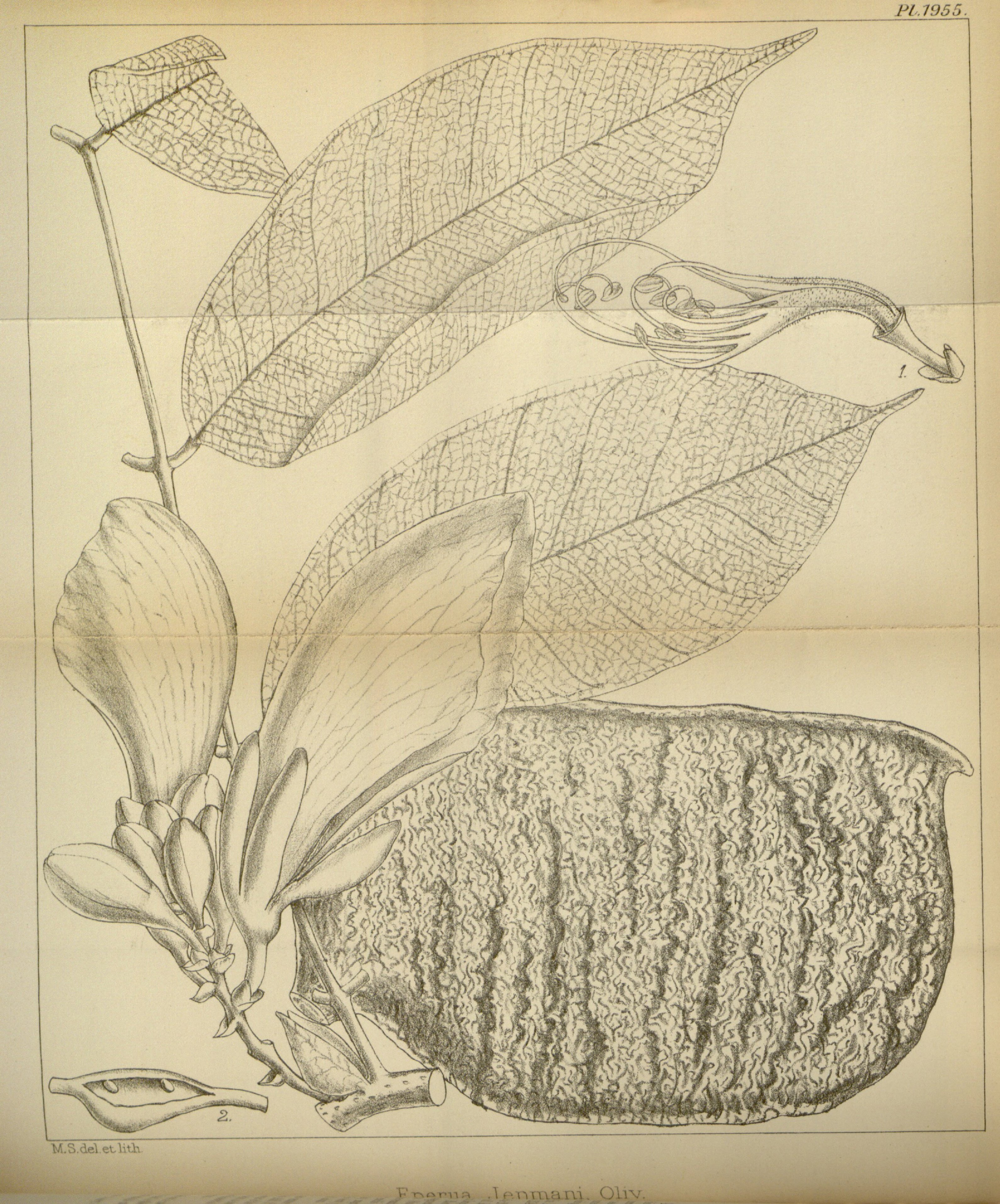 no full size  illustration available (3a)