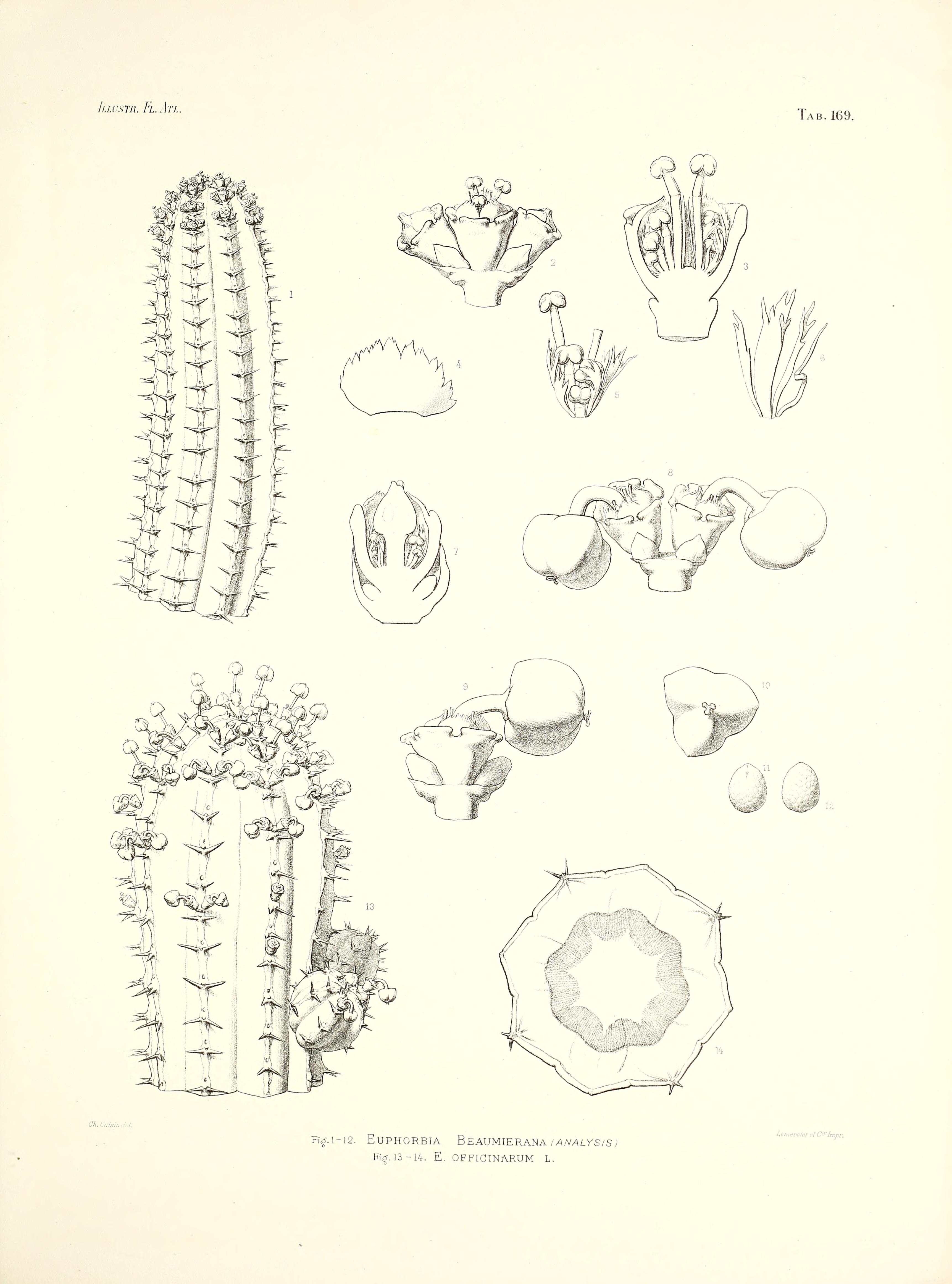 no full size  illustration available (3a)