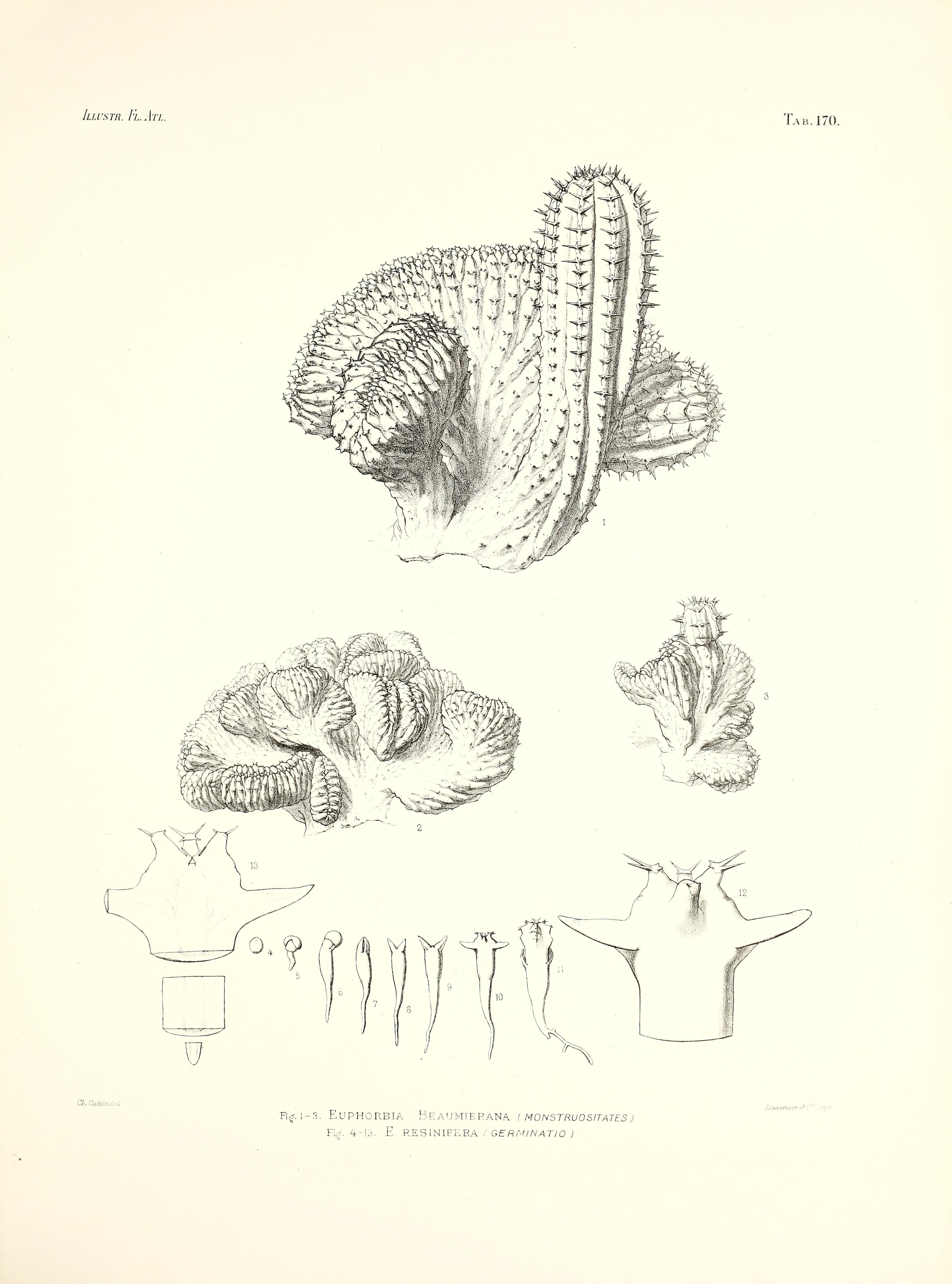 no full size  illustration available (3a)