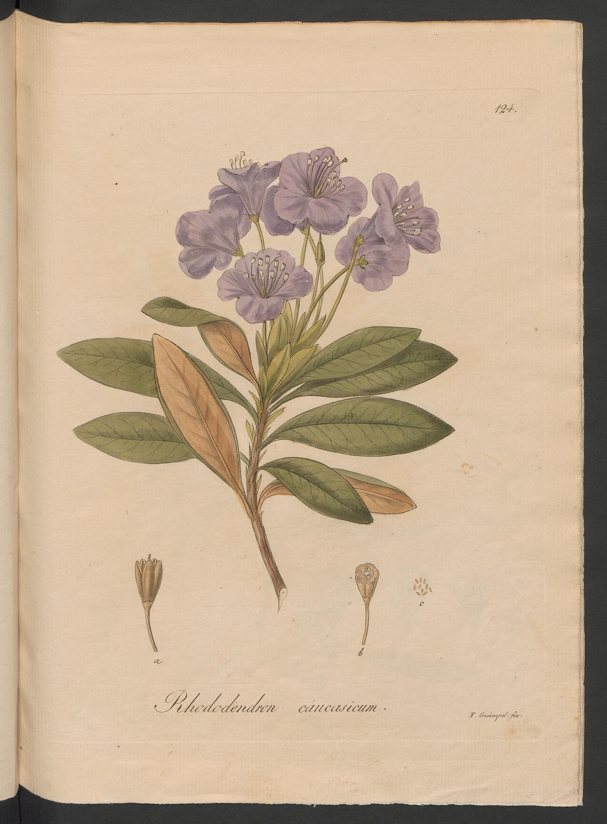 no full size  illustration available (3a)