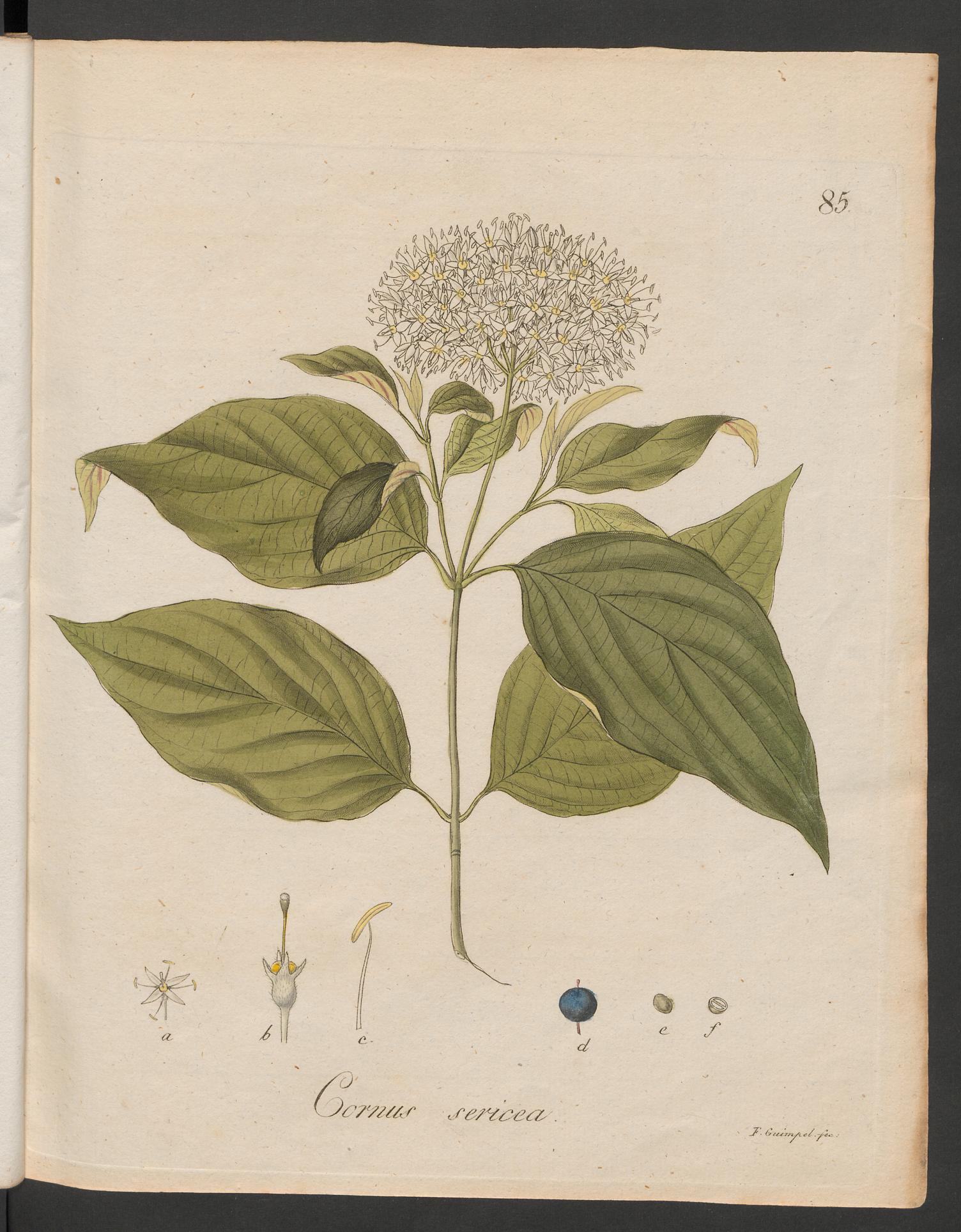 no full size  illustration available (3a)