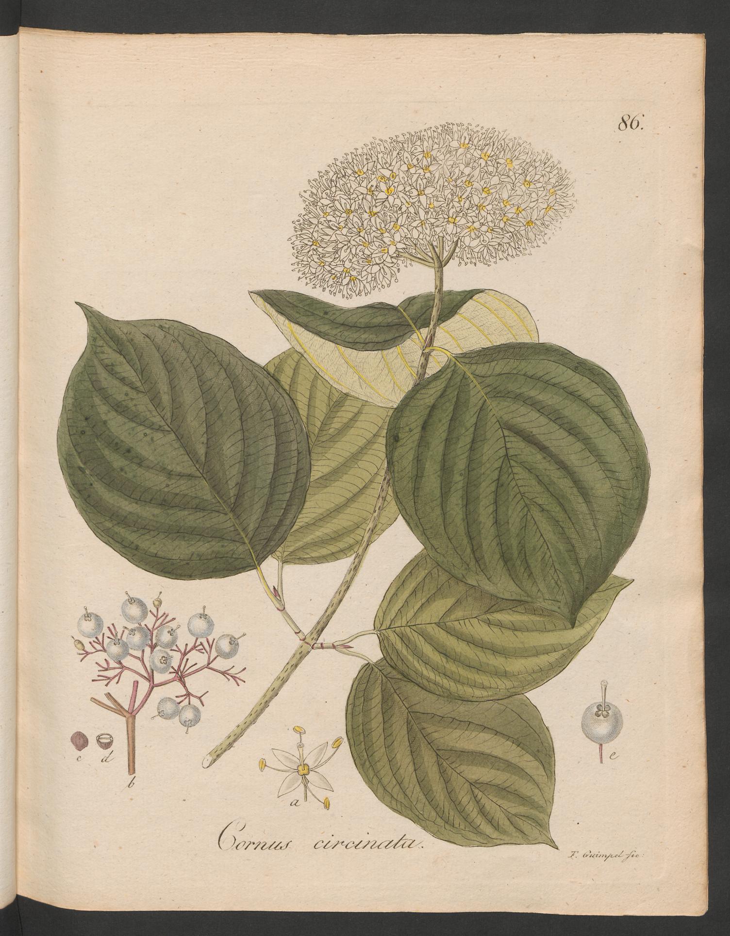 no full size  illustration available (3a)