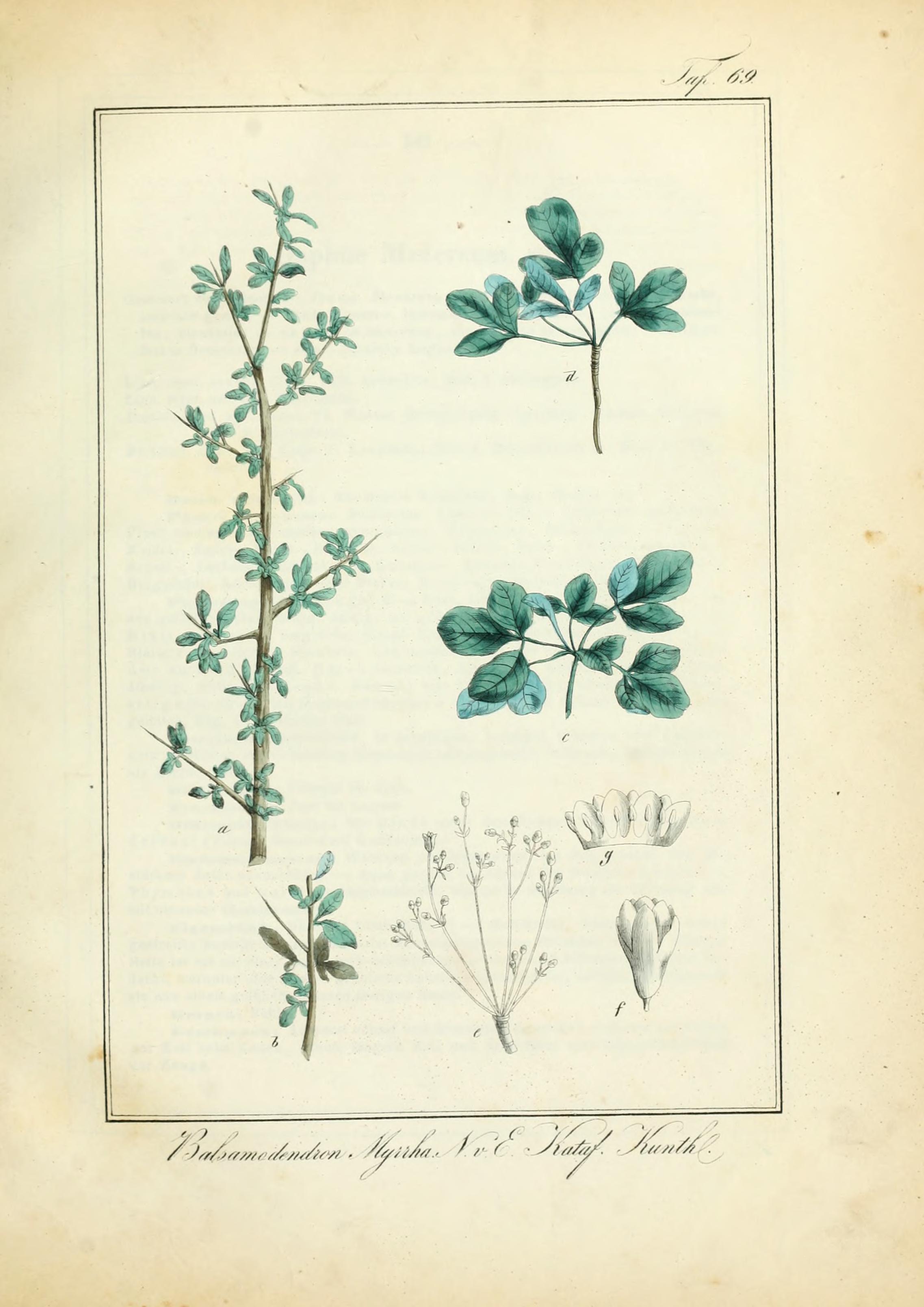 no full size  illustration available (3a)