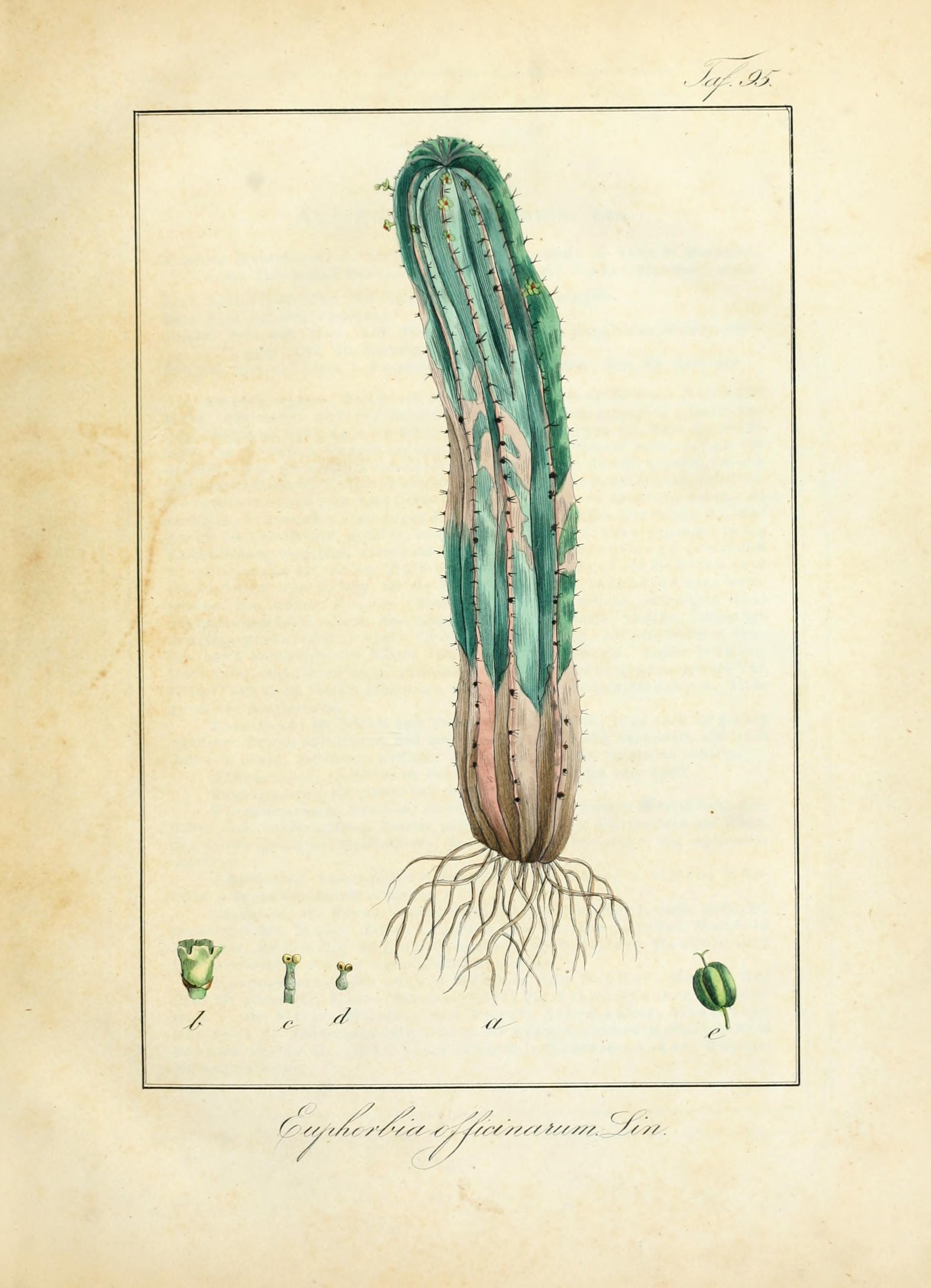 no full size  illustration available (3a)