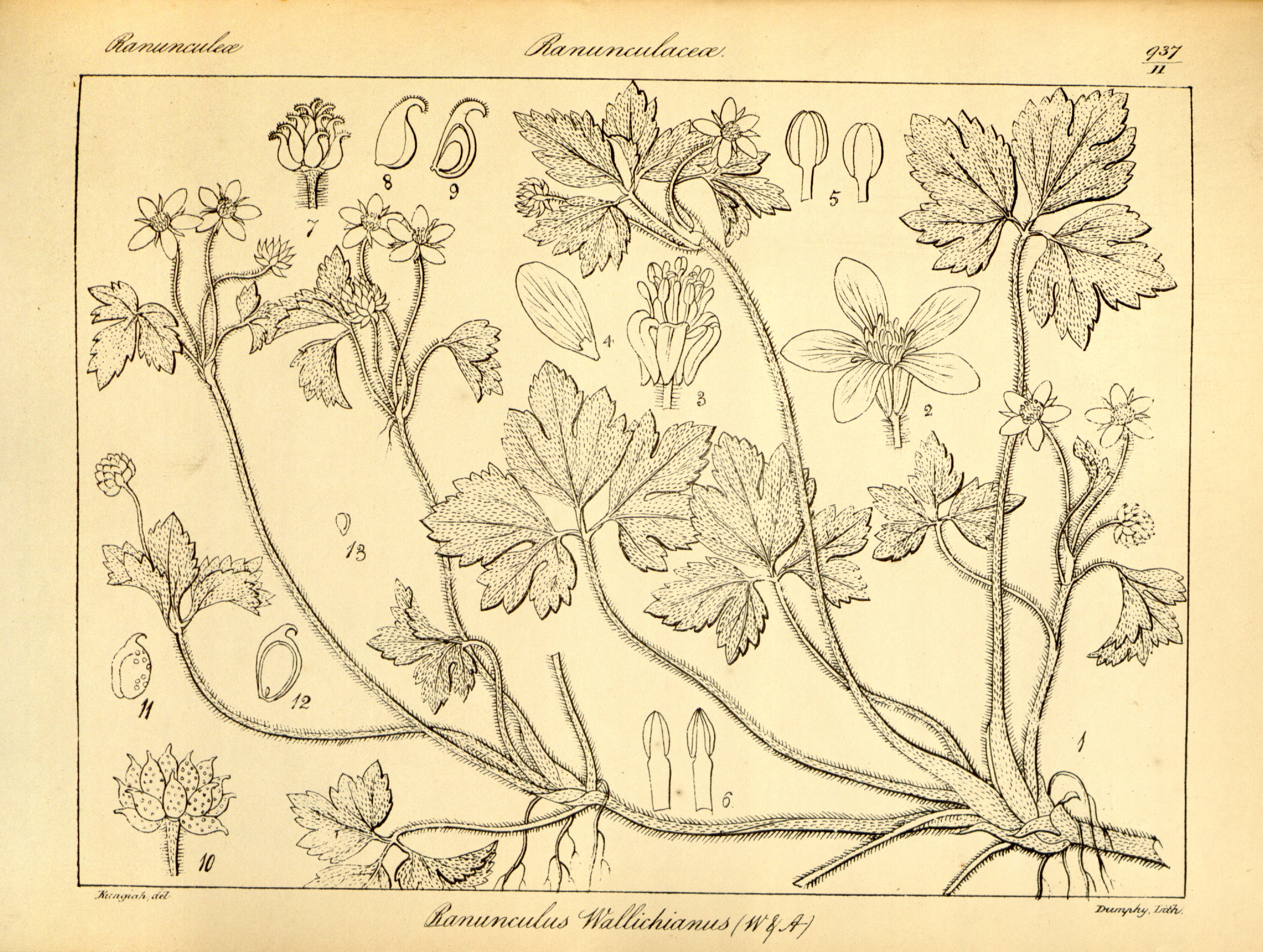 no full size  illustration available (3a)