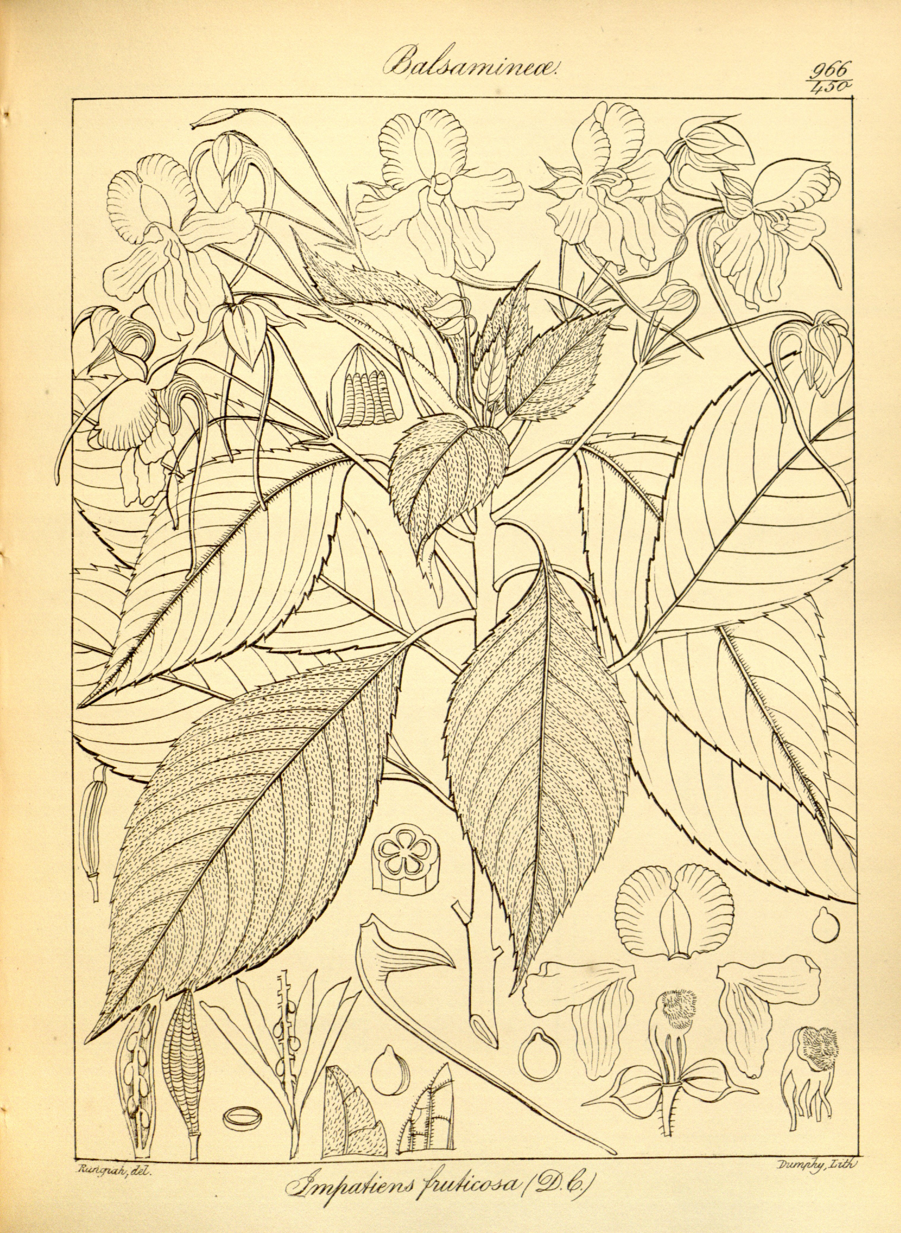 no full size  illustration available (3a)