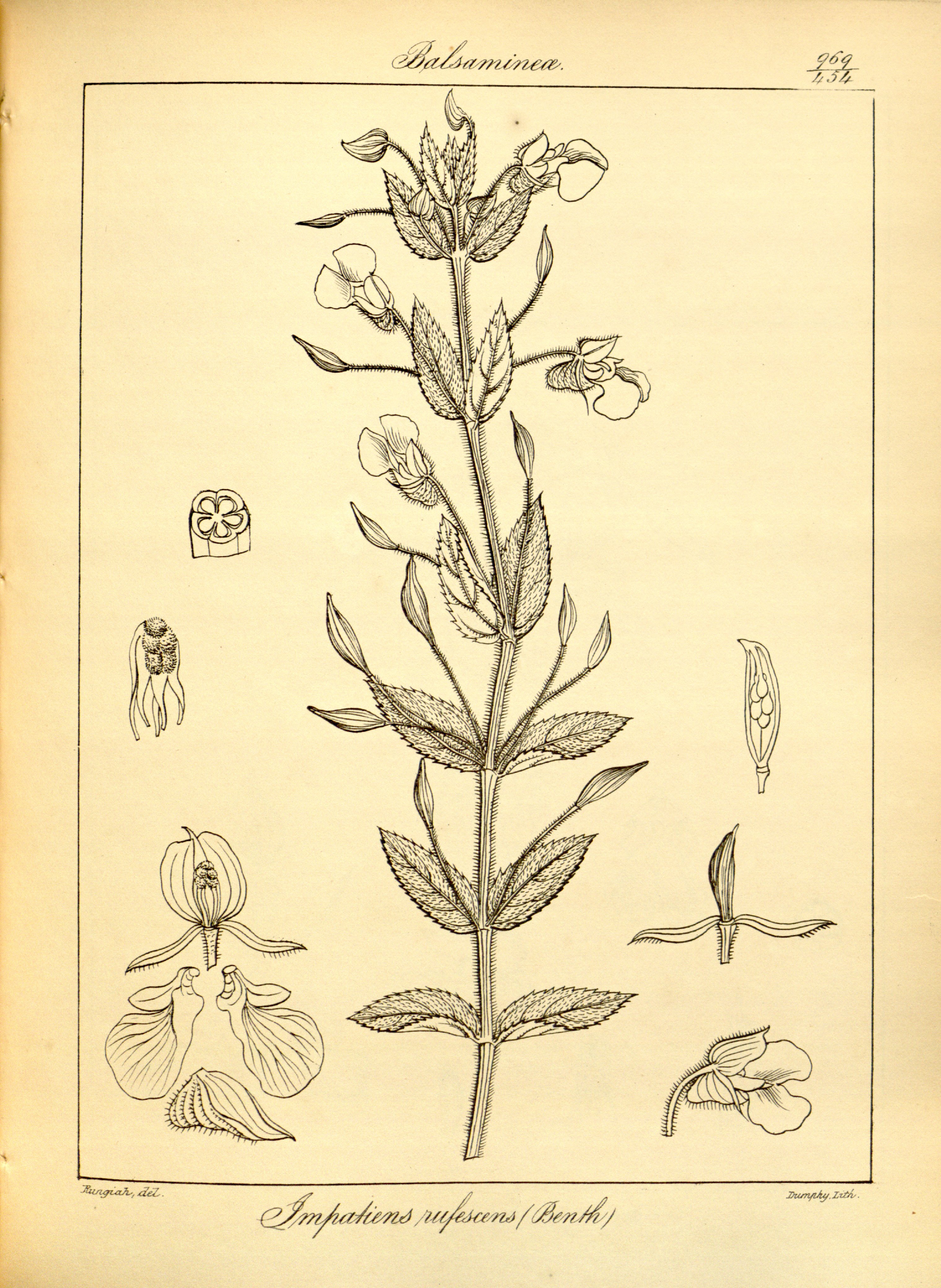 no full size  illustration available (3a)