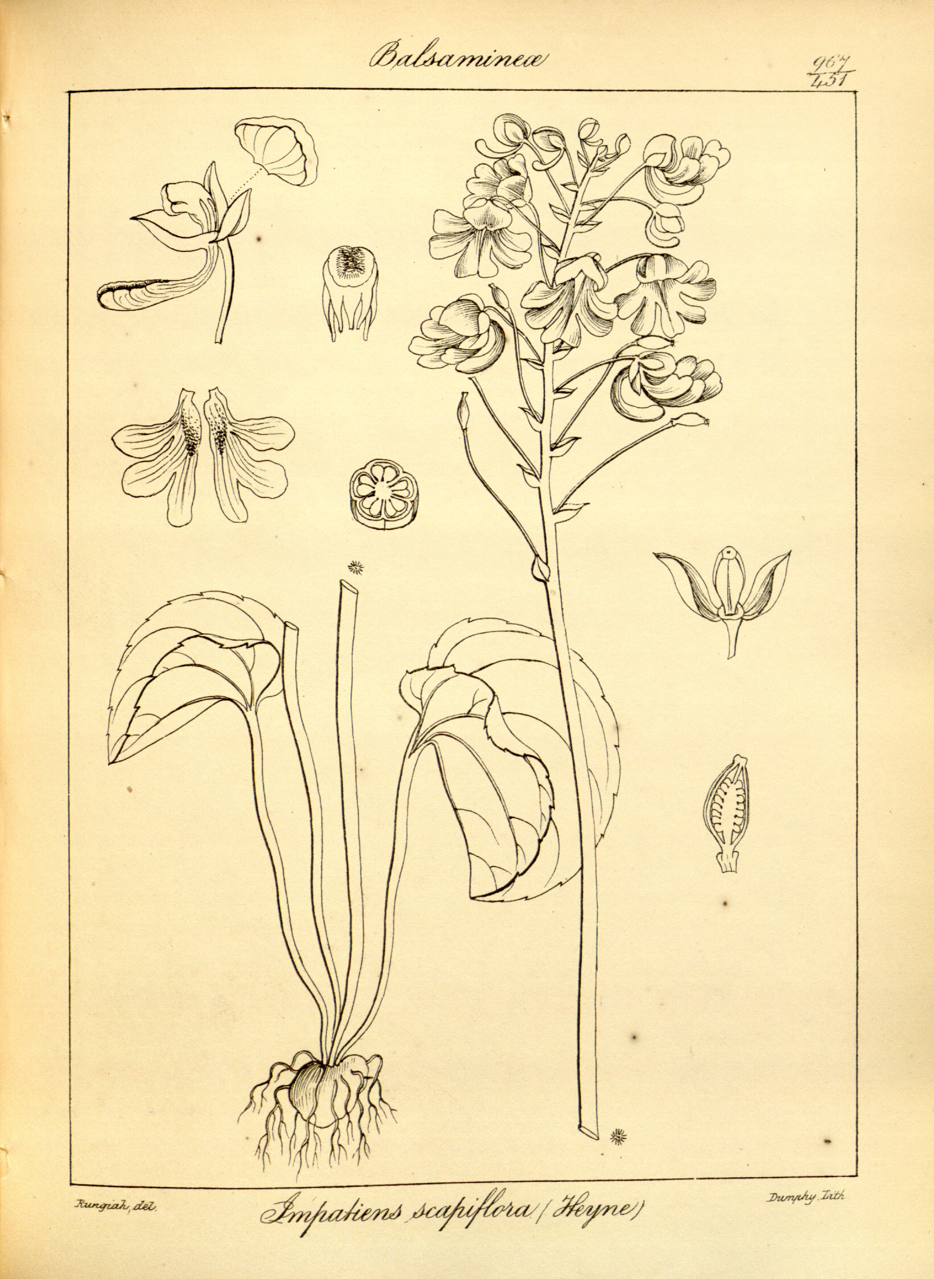 no full size  illustration available (3a)