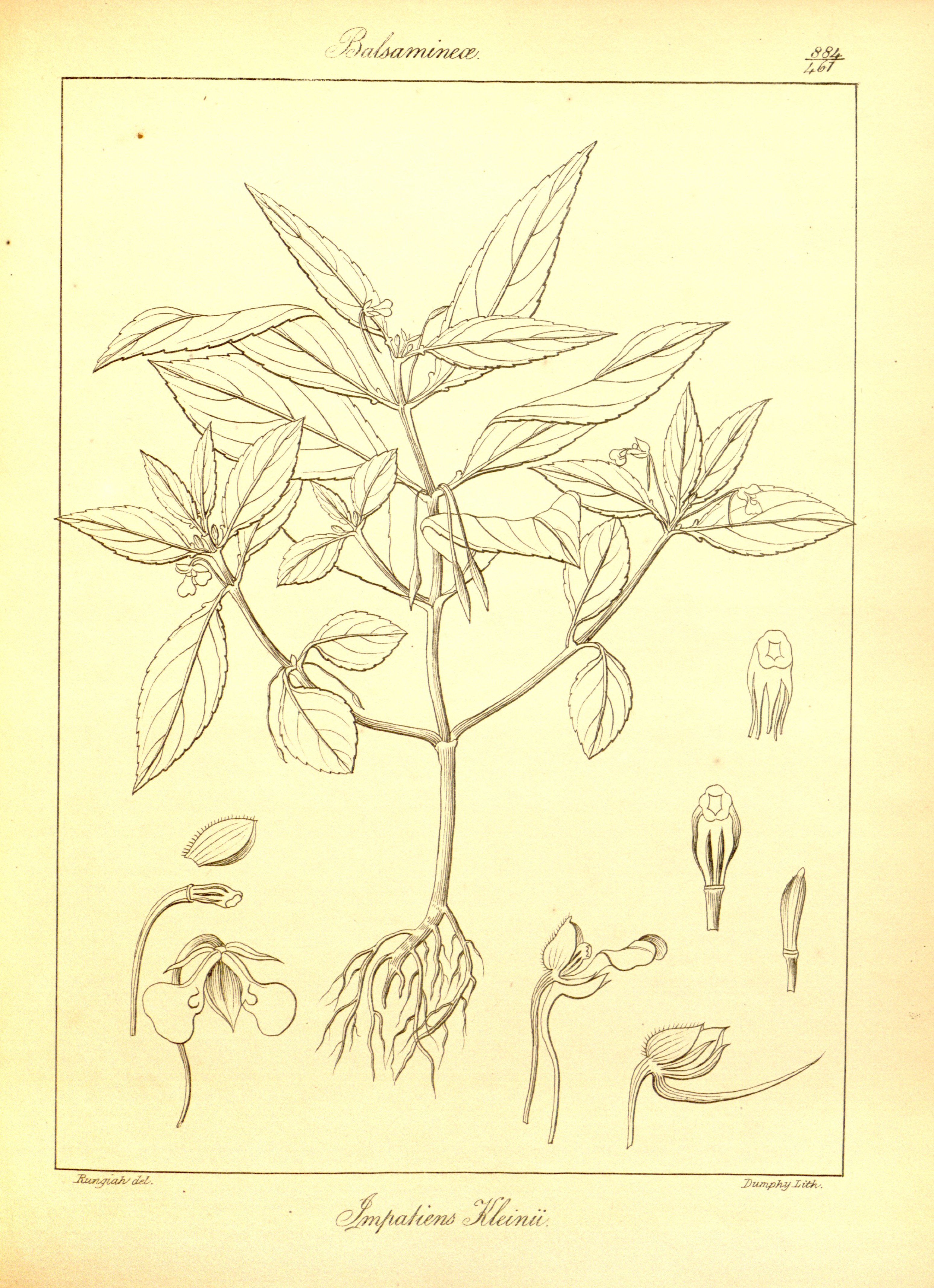 no full size  illustration available (3a)