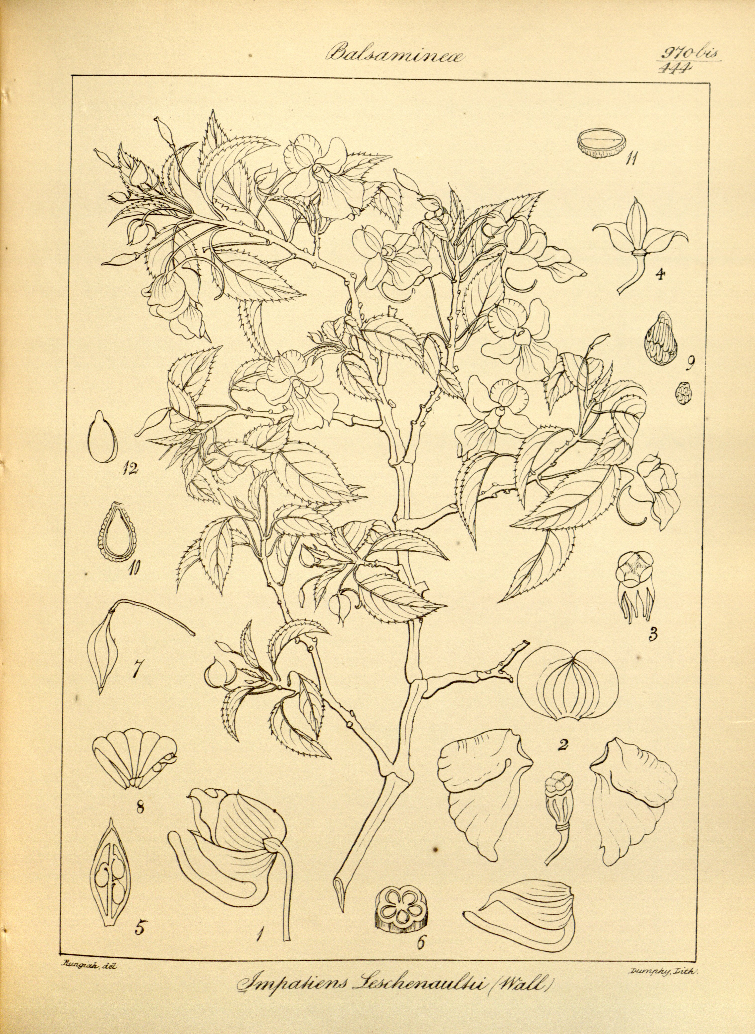 no full size  illustration available (3a)