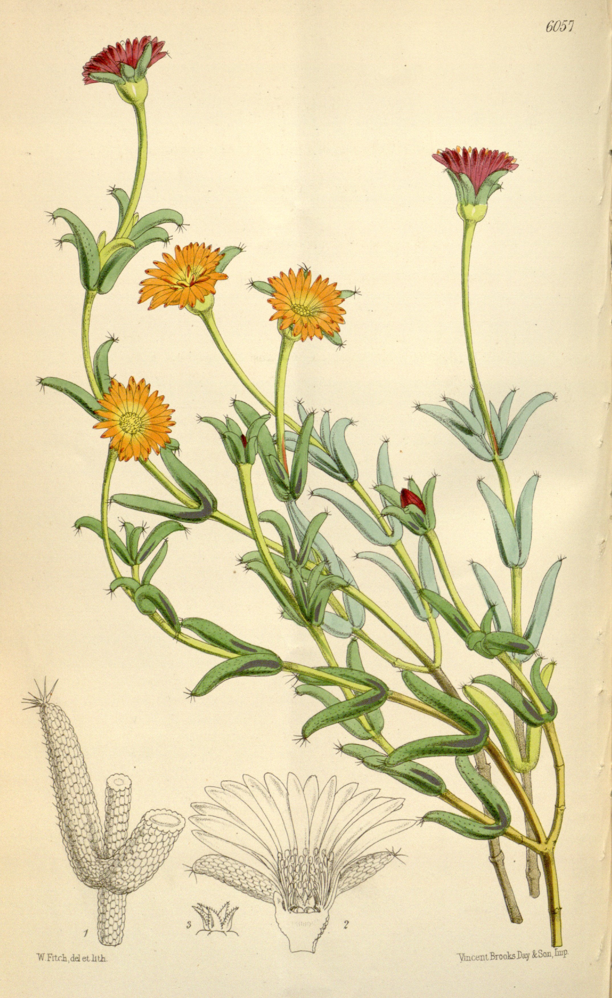 no full size  illustration available (3a)