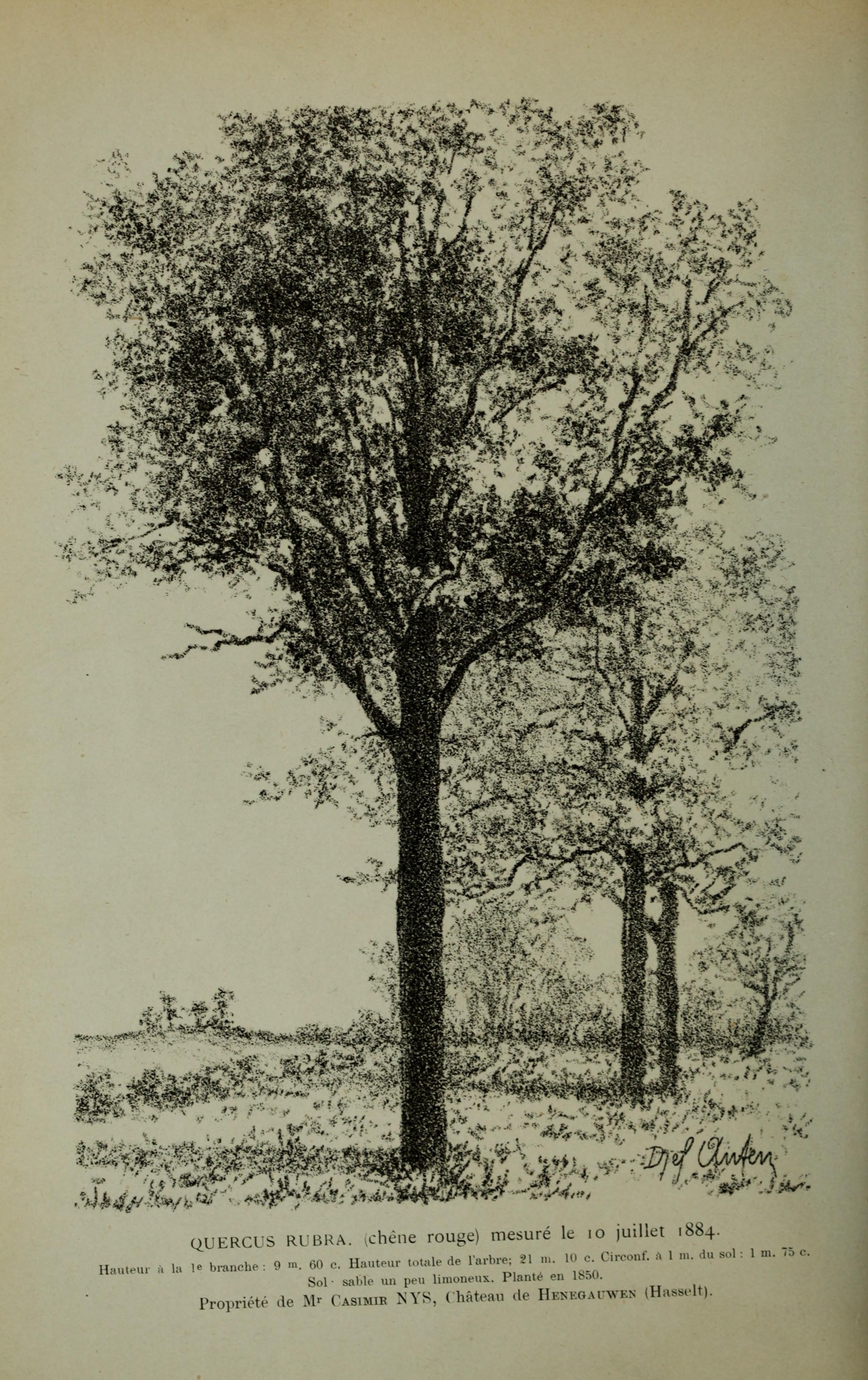 no full size  illustration available (3a)