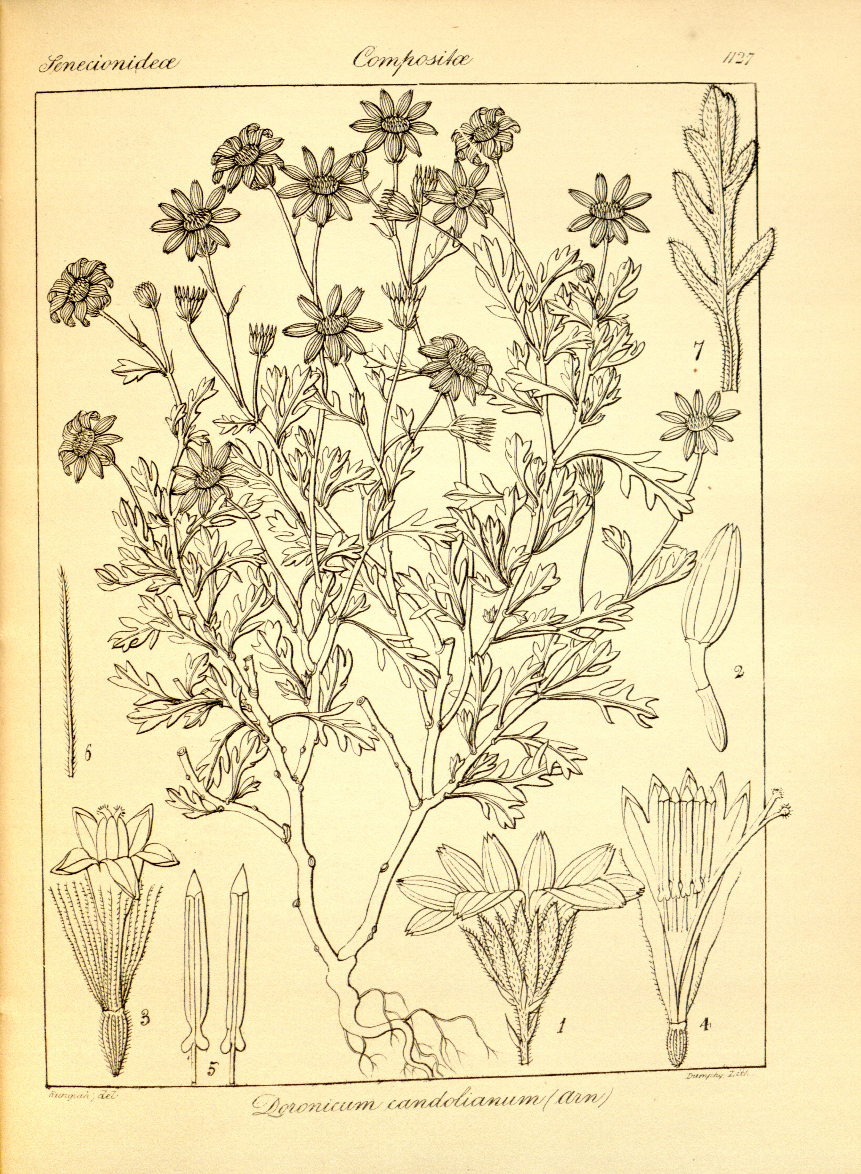 no full size  illustration available (3a)