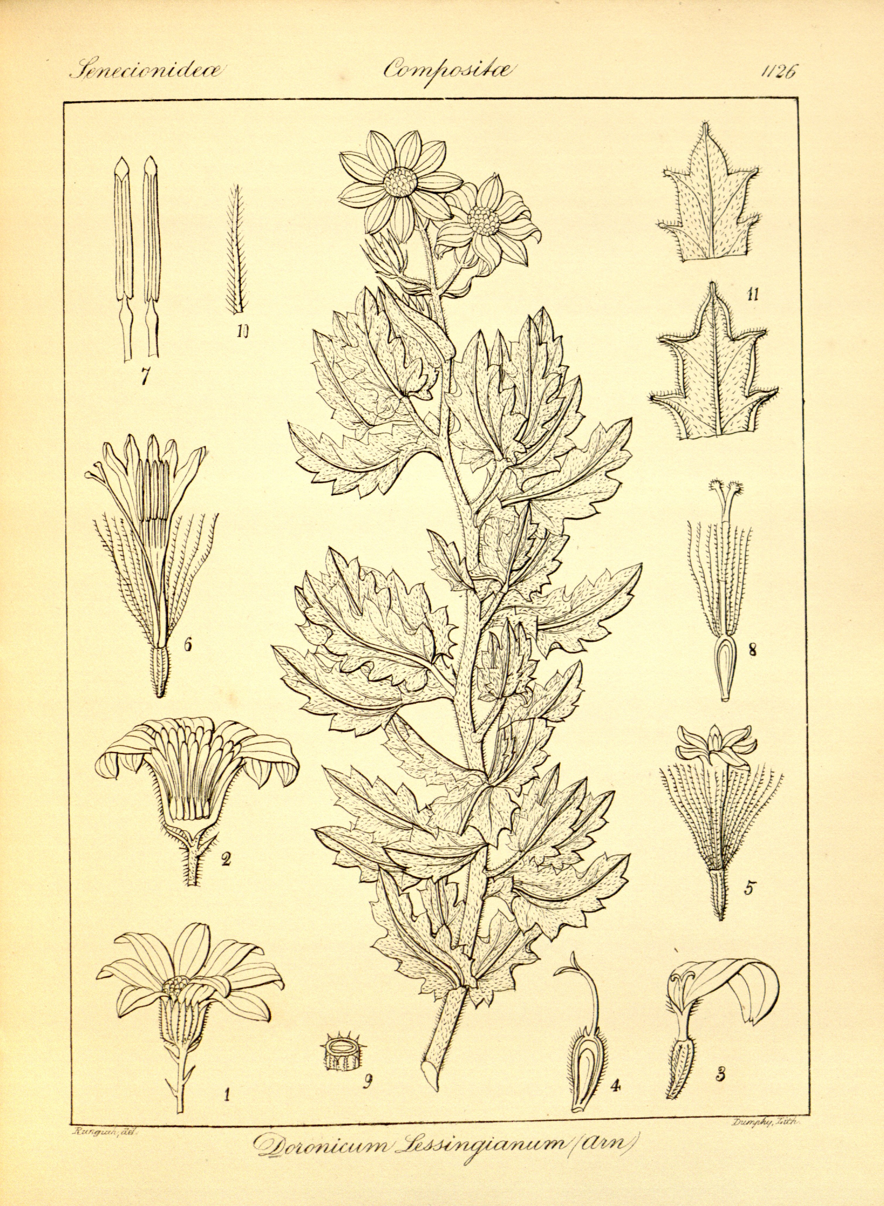 no full size  illustration available (3a)