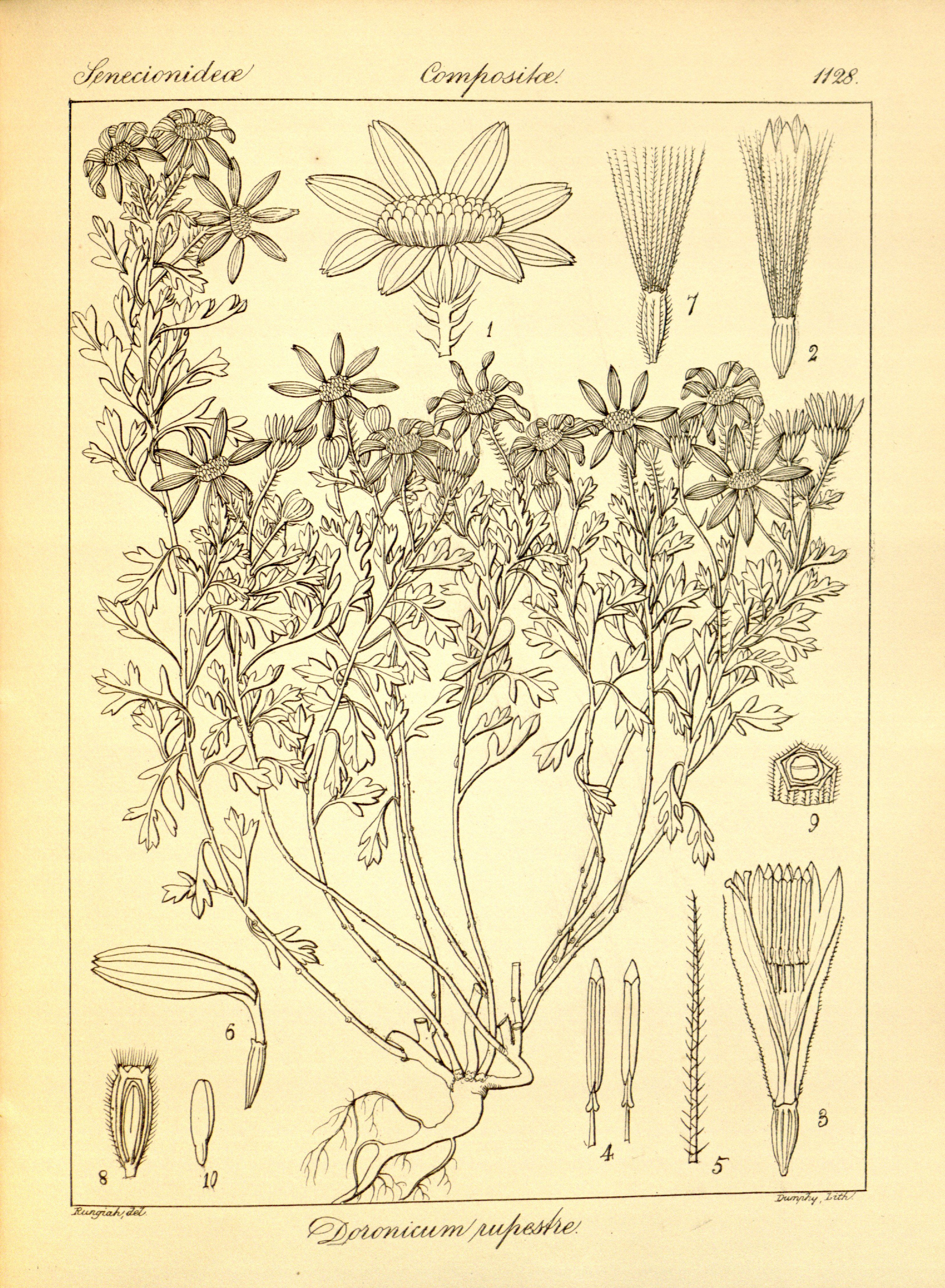 no full size  illustration available (3a)