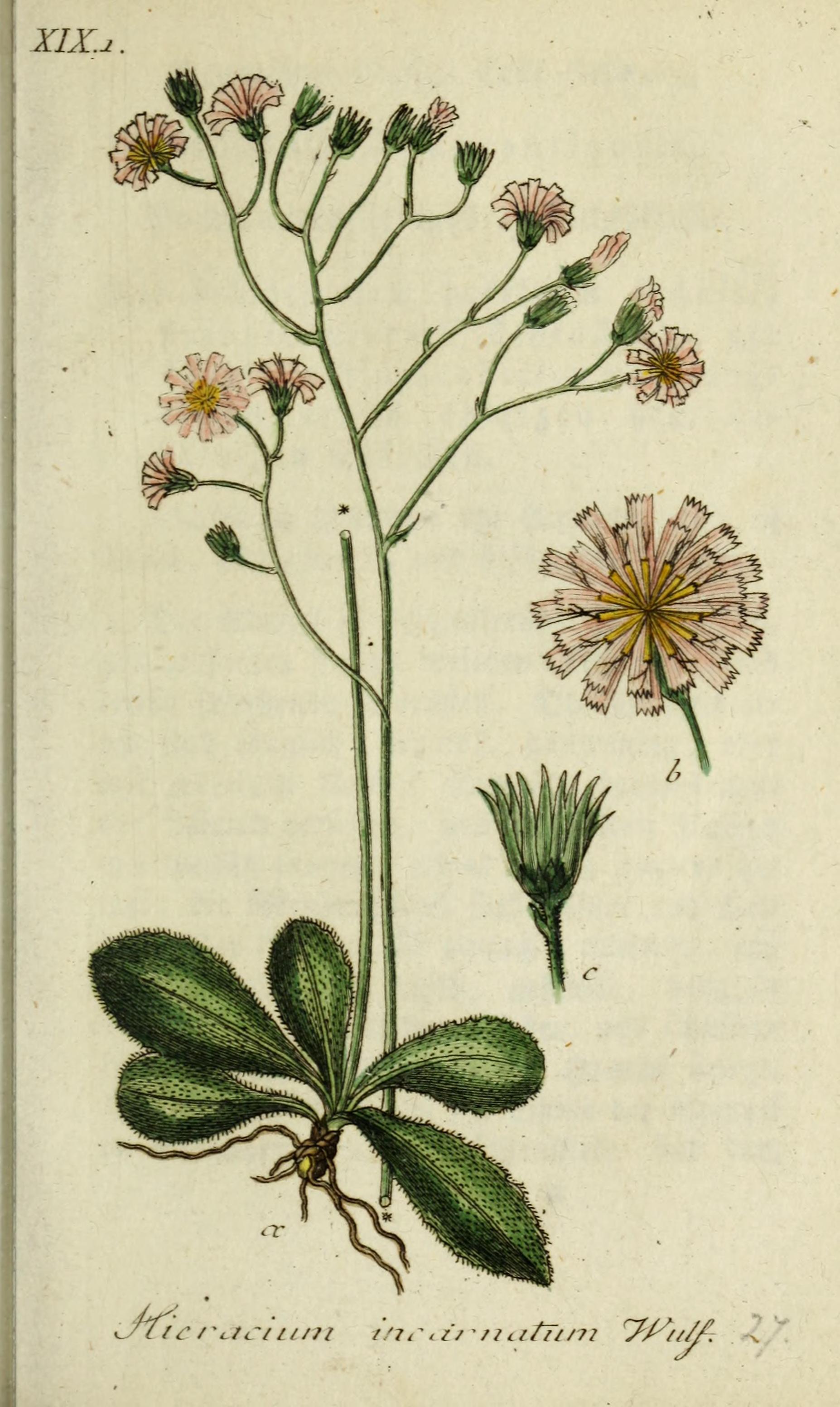 no full size  illustration available (3a)