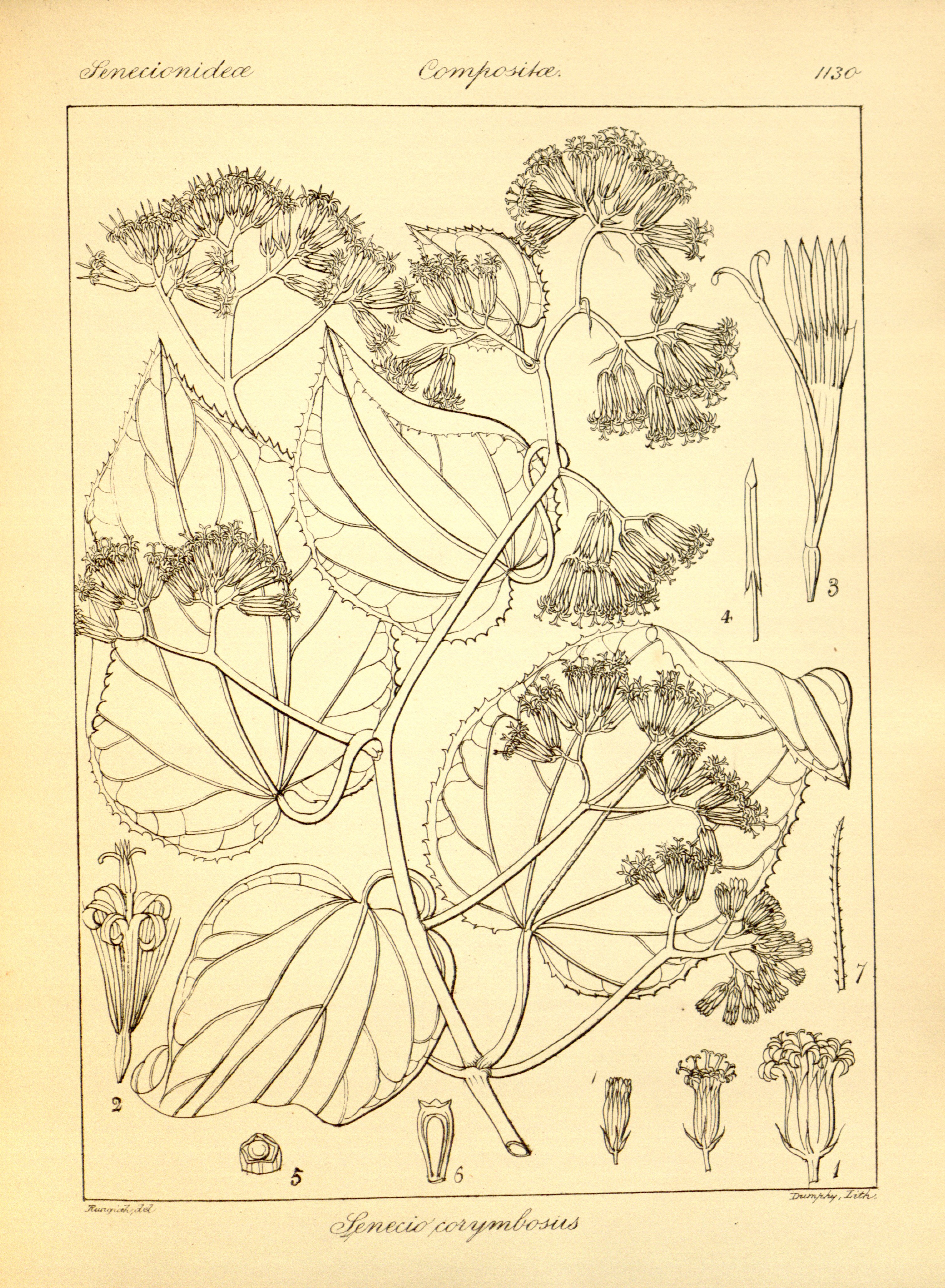 no full size  illustration available (3a)