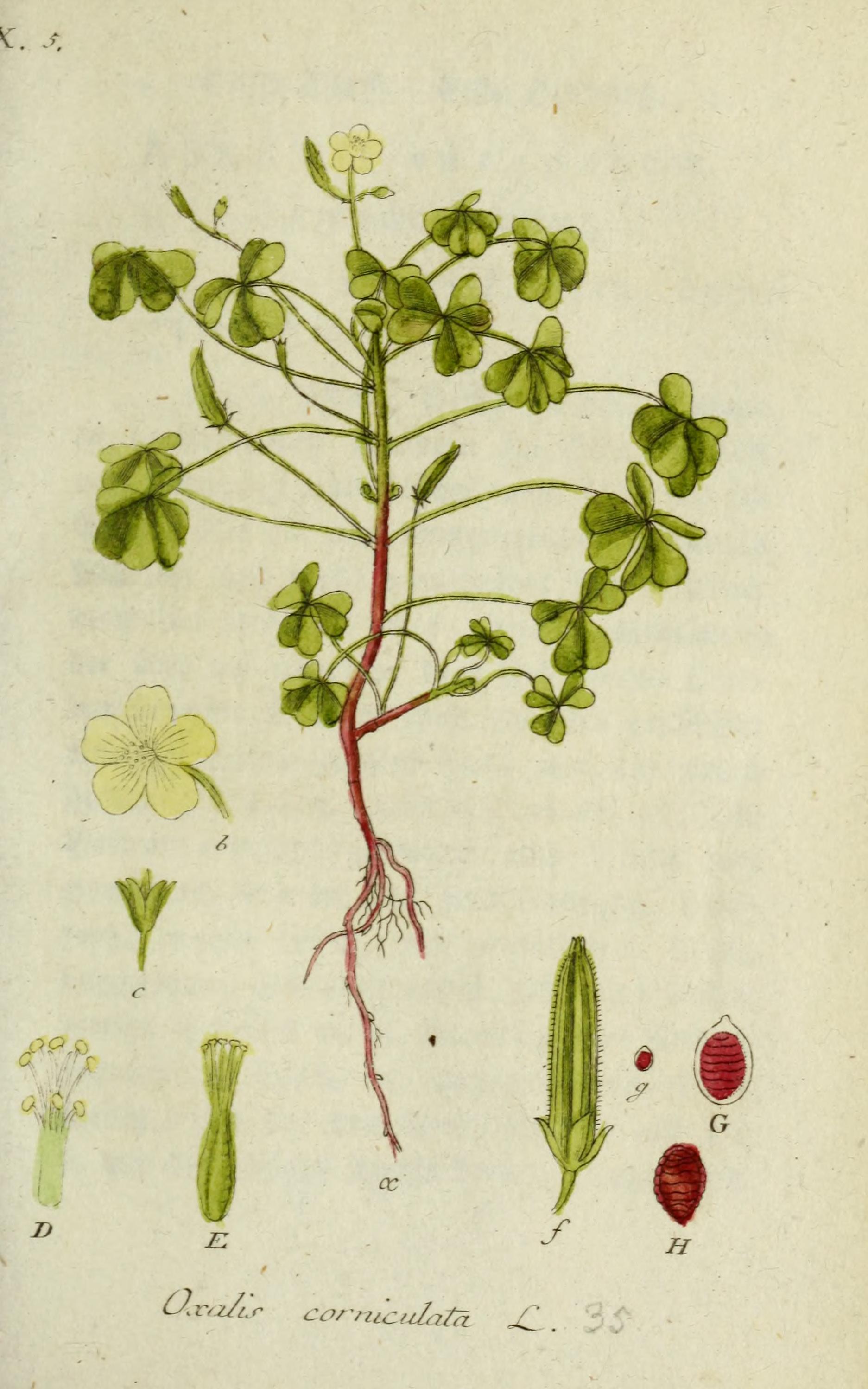 no full size  illustration available (3a)