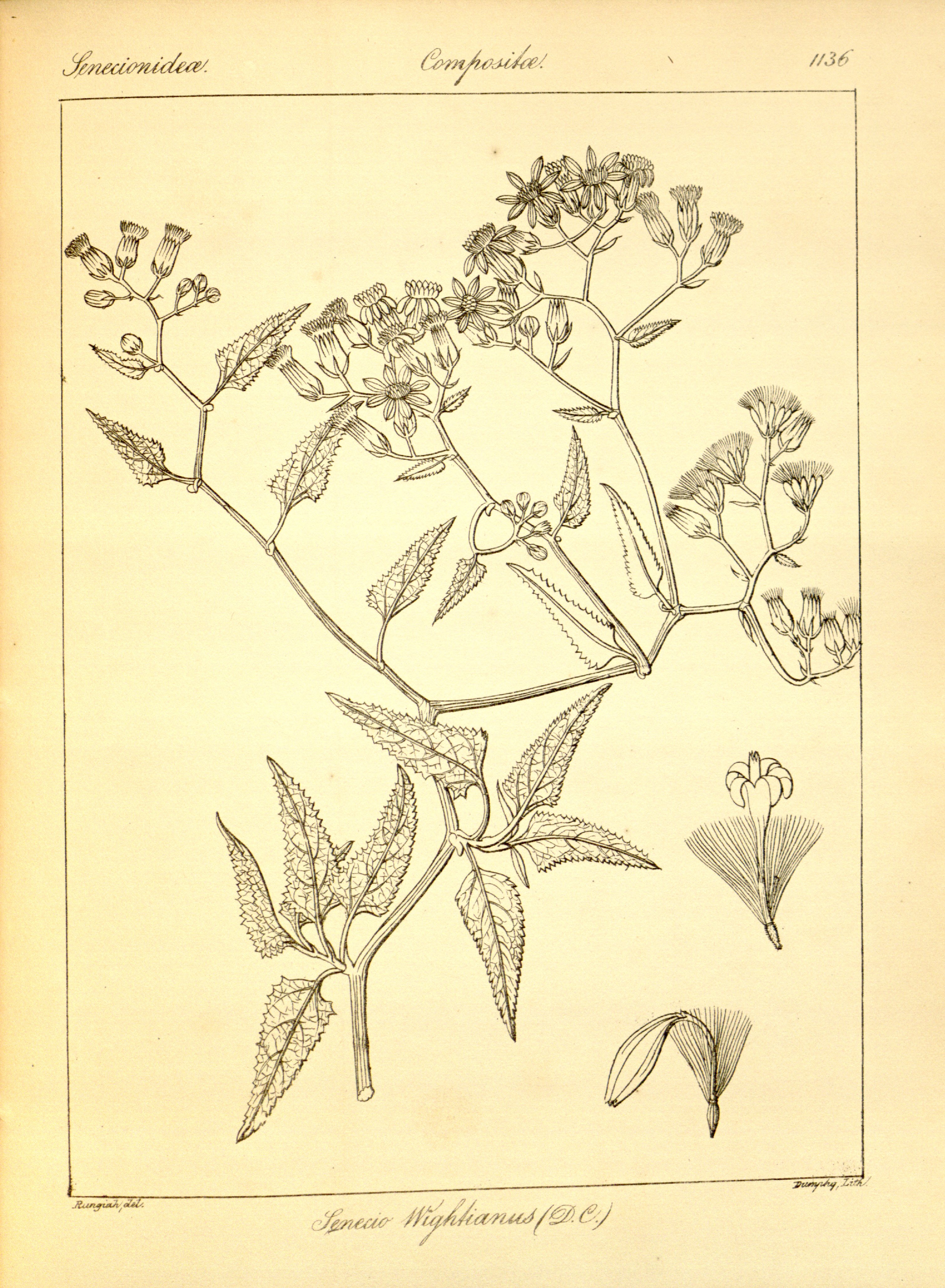 no full size  illustration available (3a)