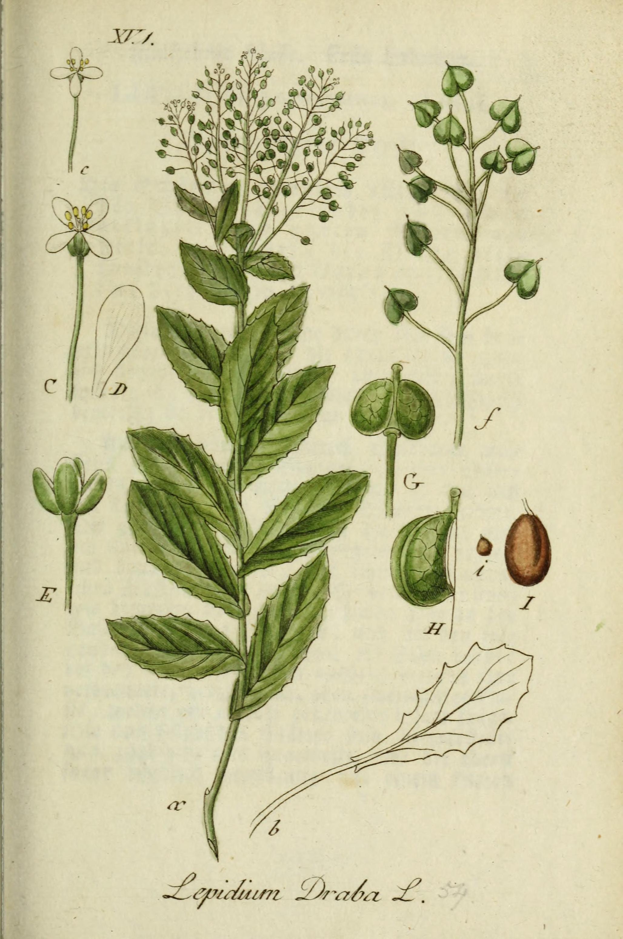 no full size  illustration available (3a)