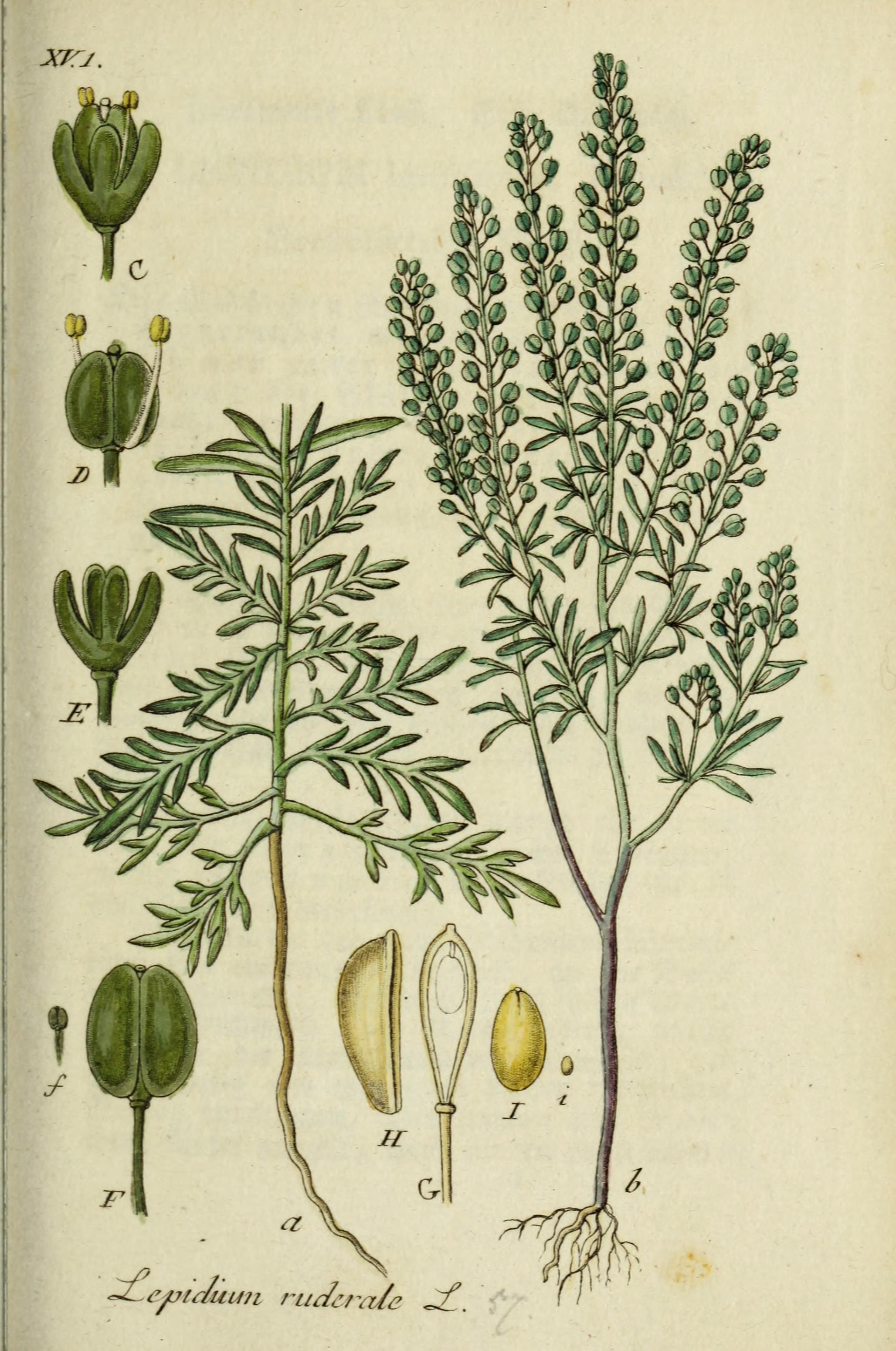 no full size  illustration available (3a)