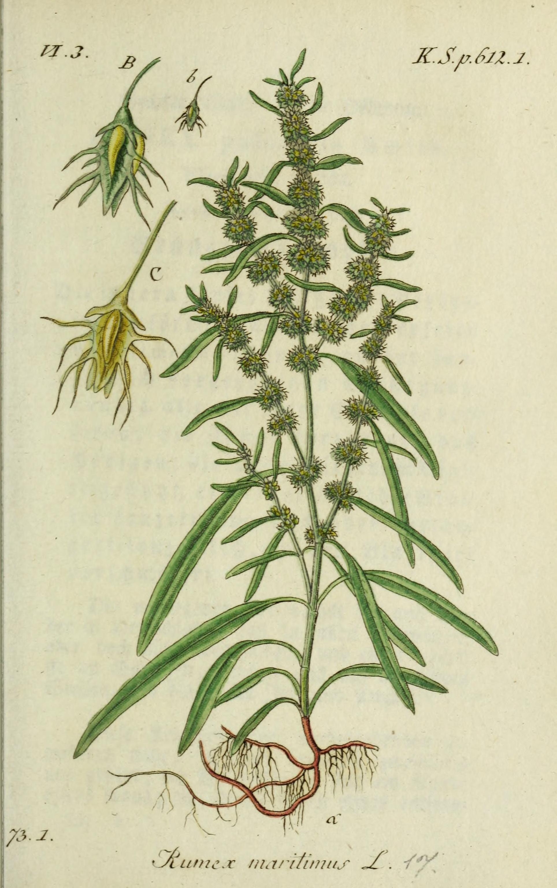 no full size  illustration available (3a)