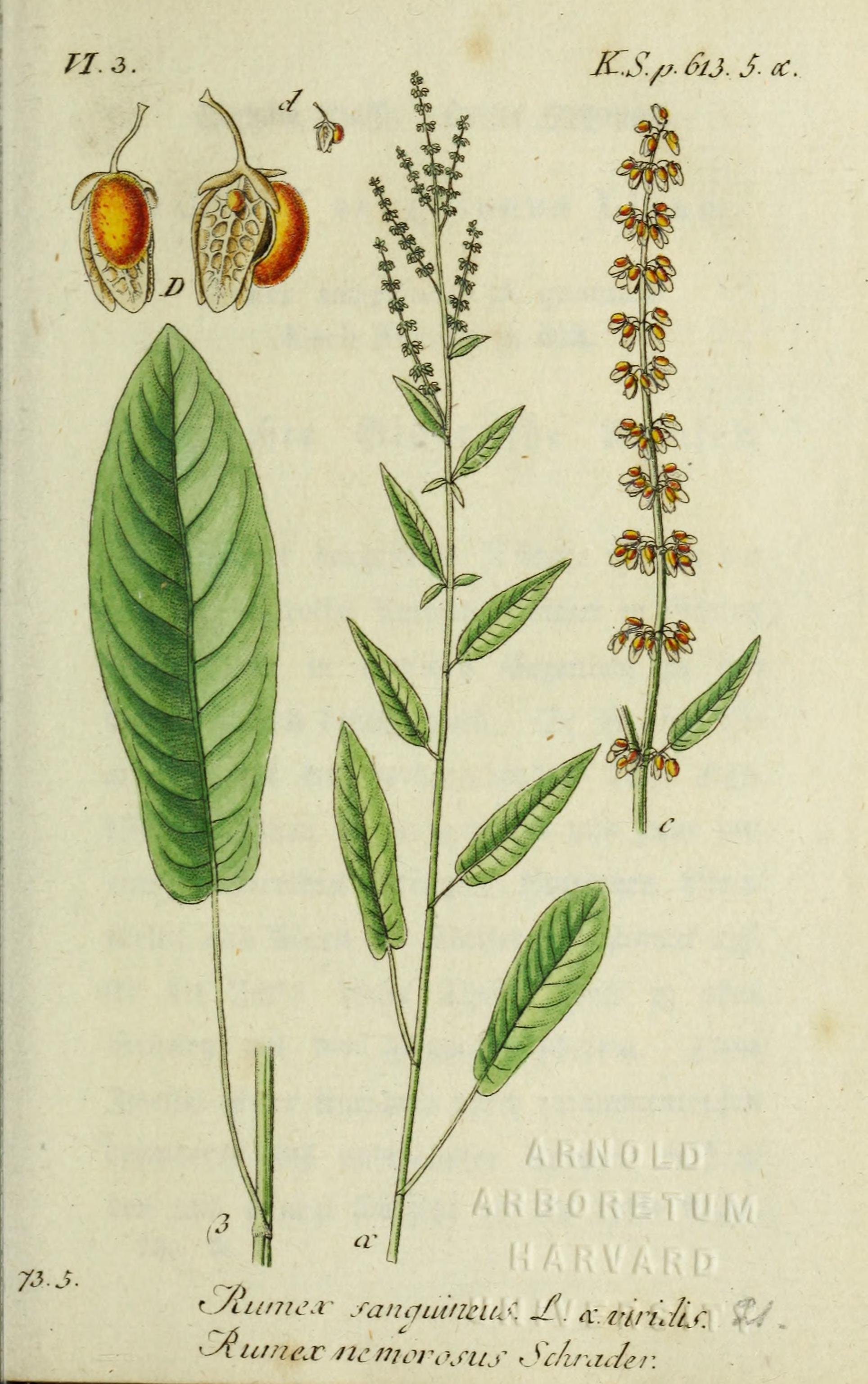 no full size  illustration available (3a)