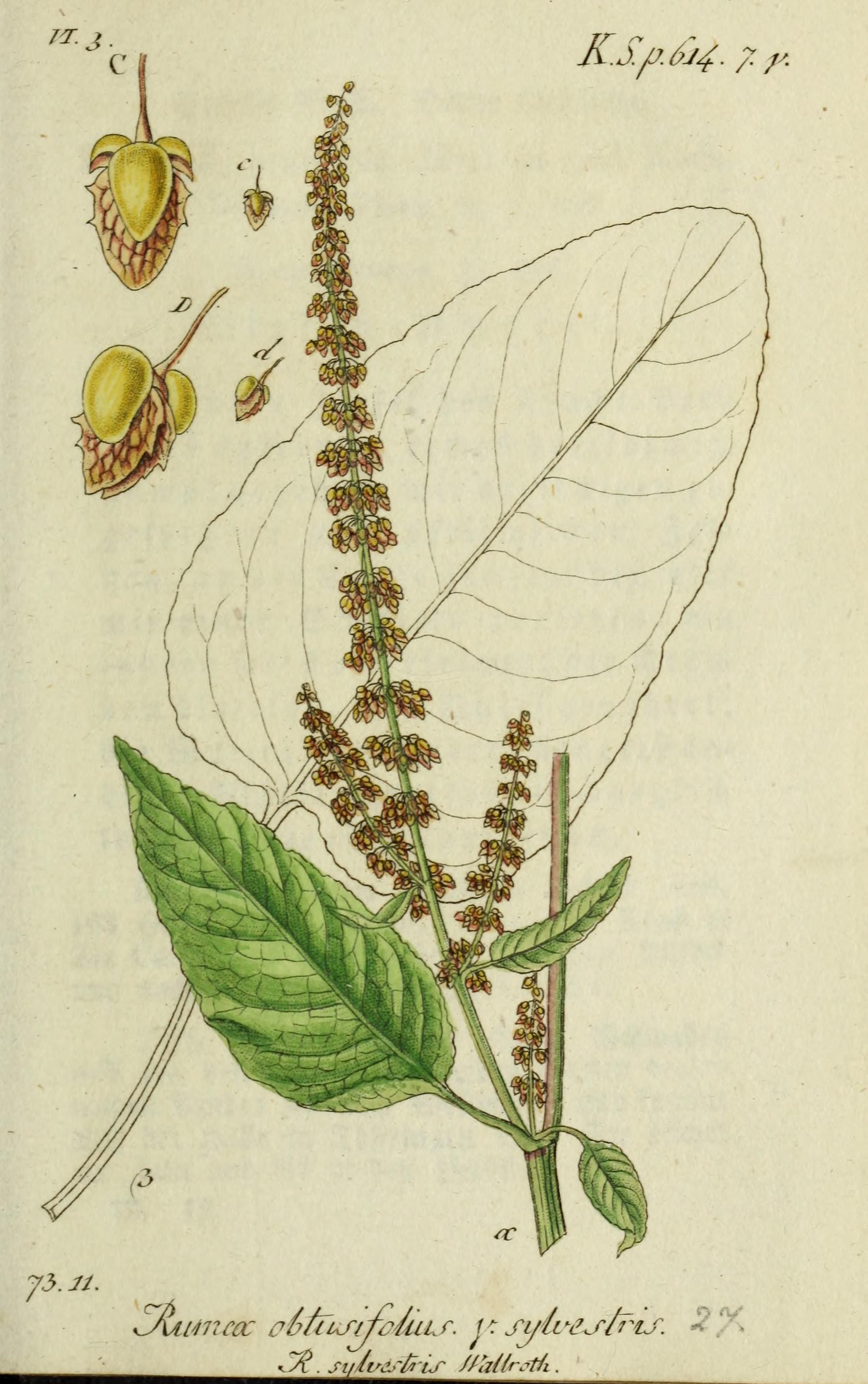 no full size  illustration available (3a)