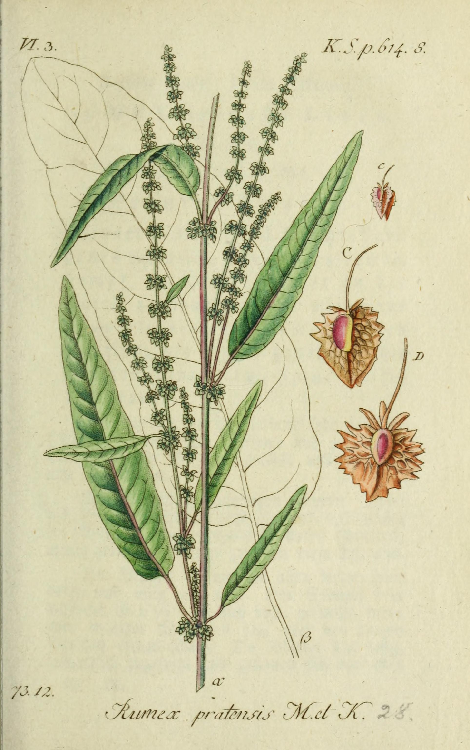 no full size  illustration available (3a)