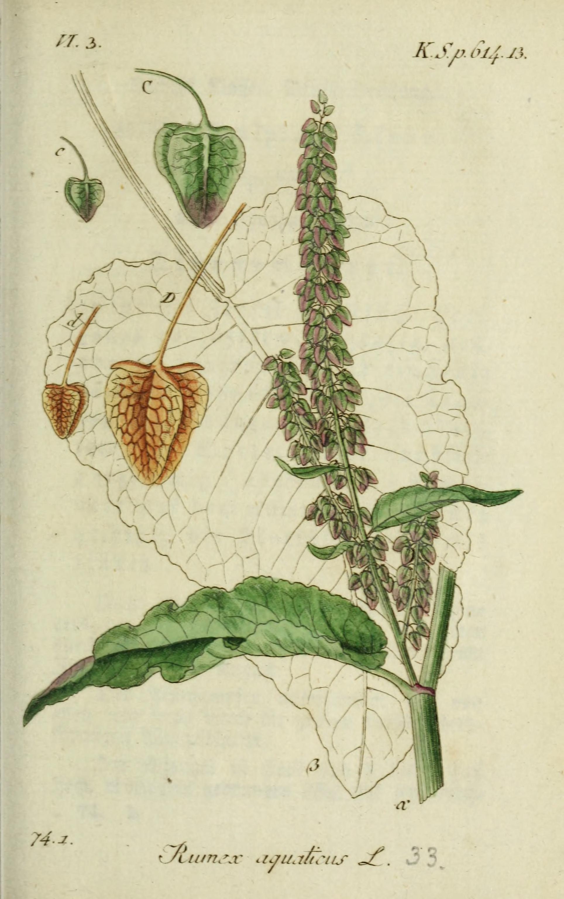 no full size  illustration available (3a)