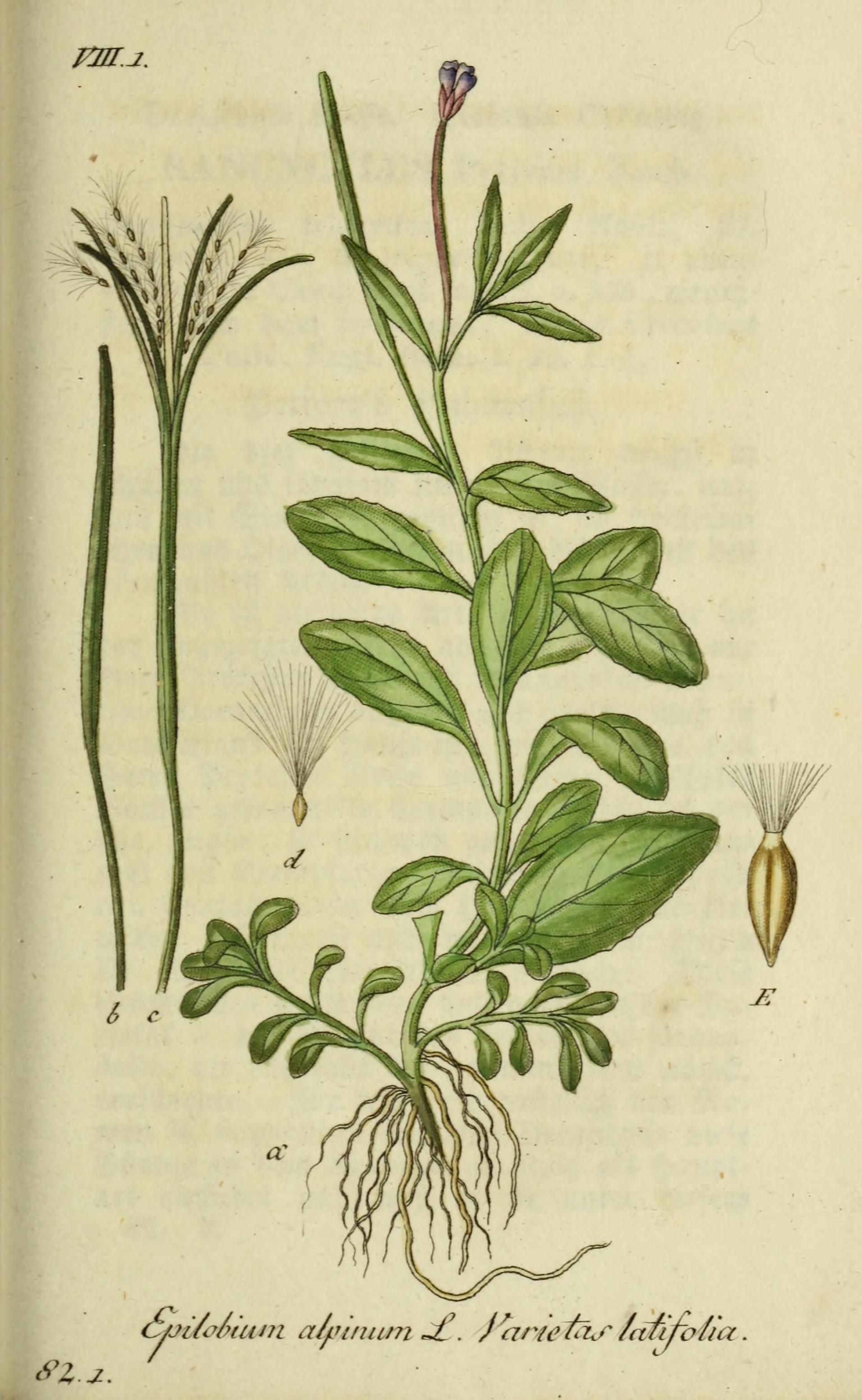 no full size  illustration available (3a)