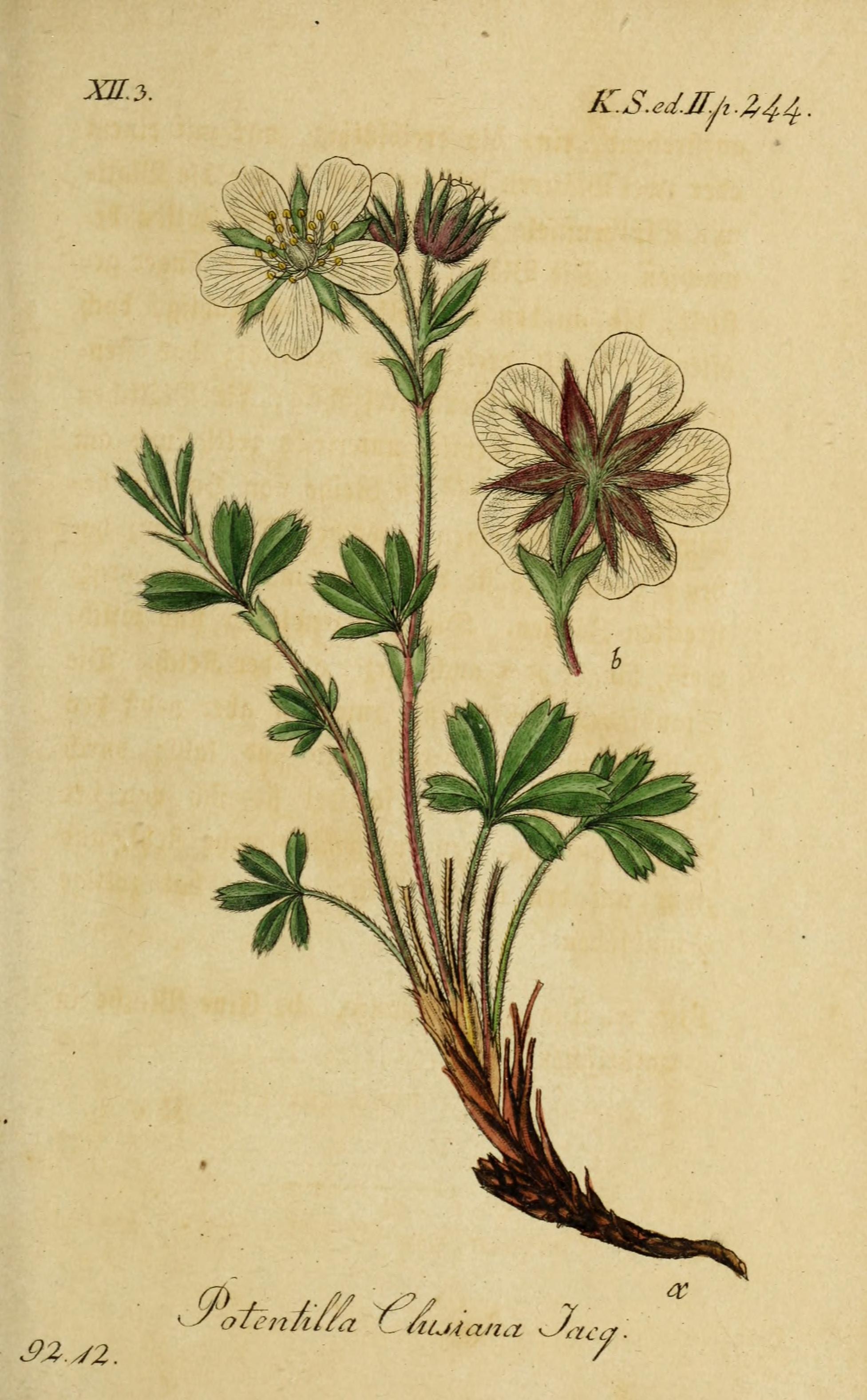 no full size  illustration available (3a)