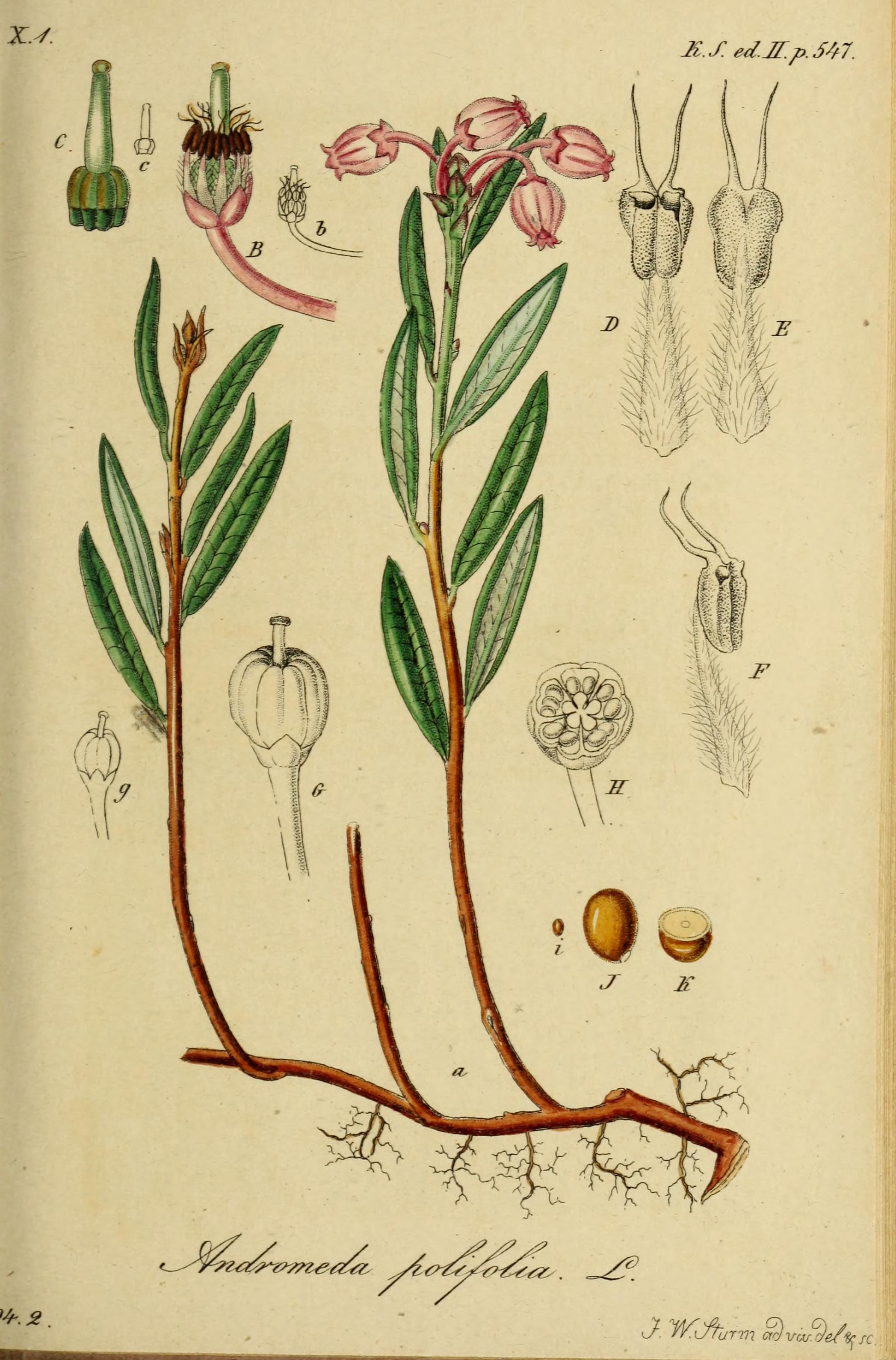 no full size  illustration available (3a)