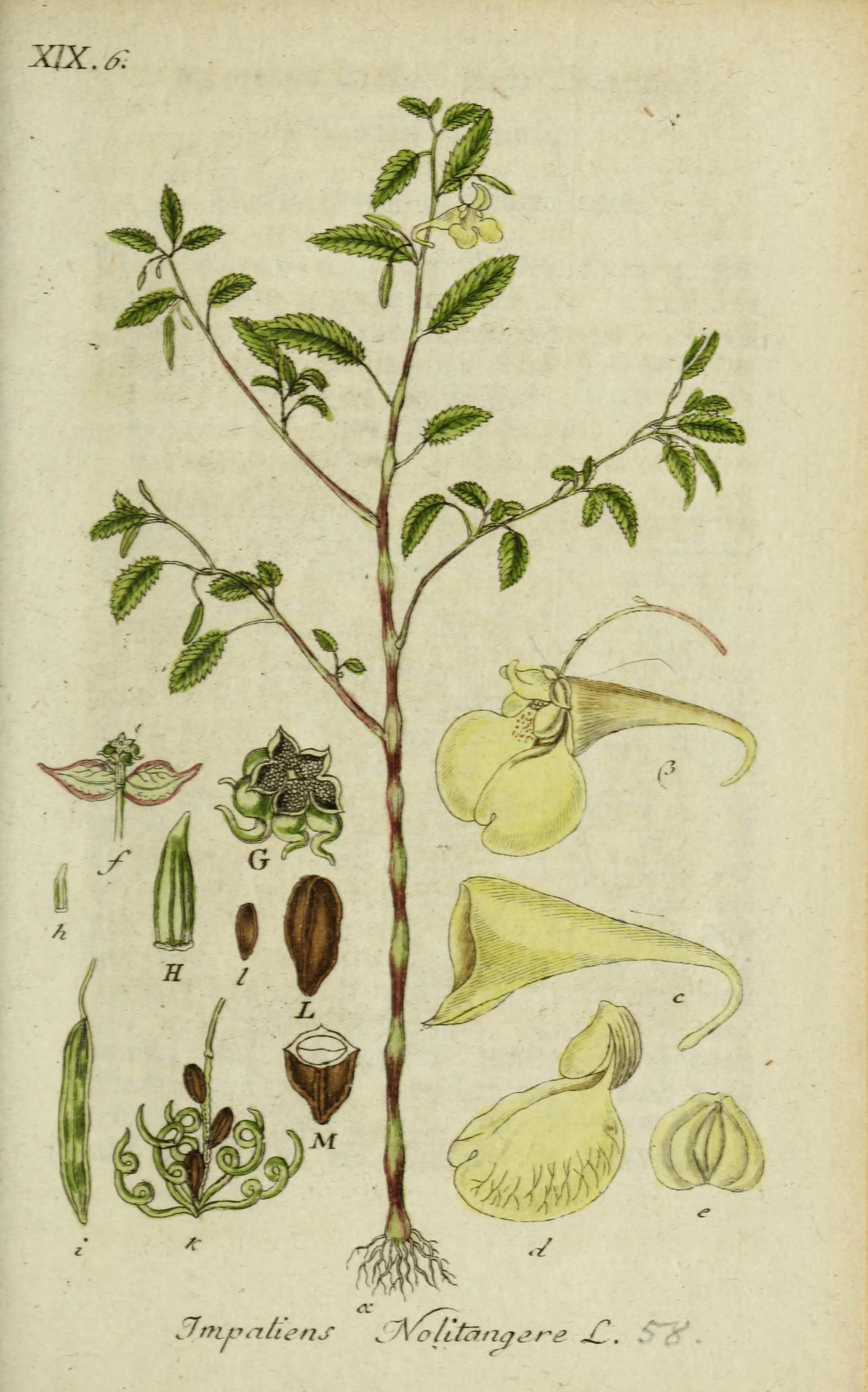 no full size  illustration available (3a)