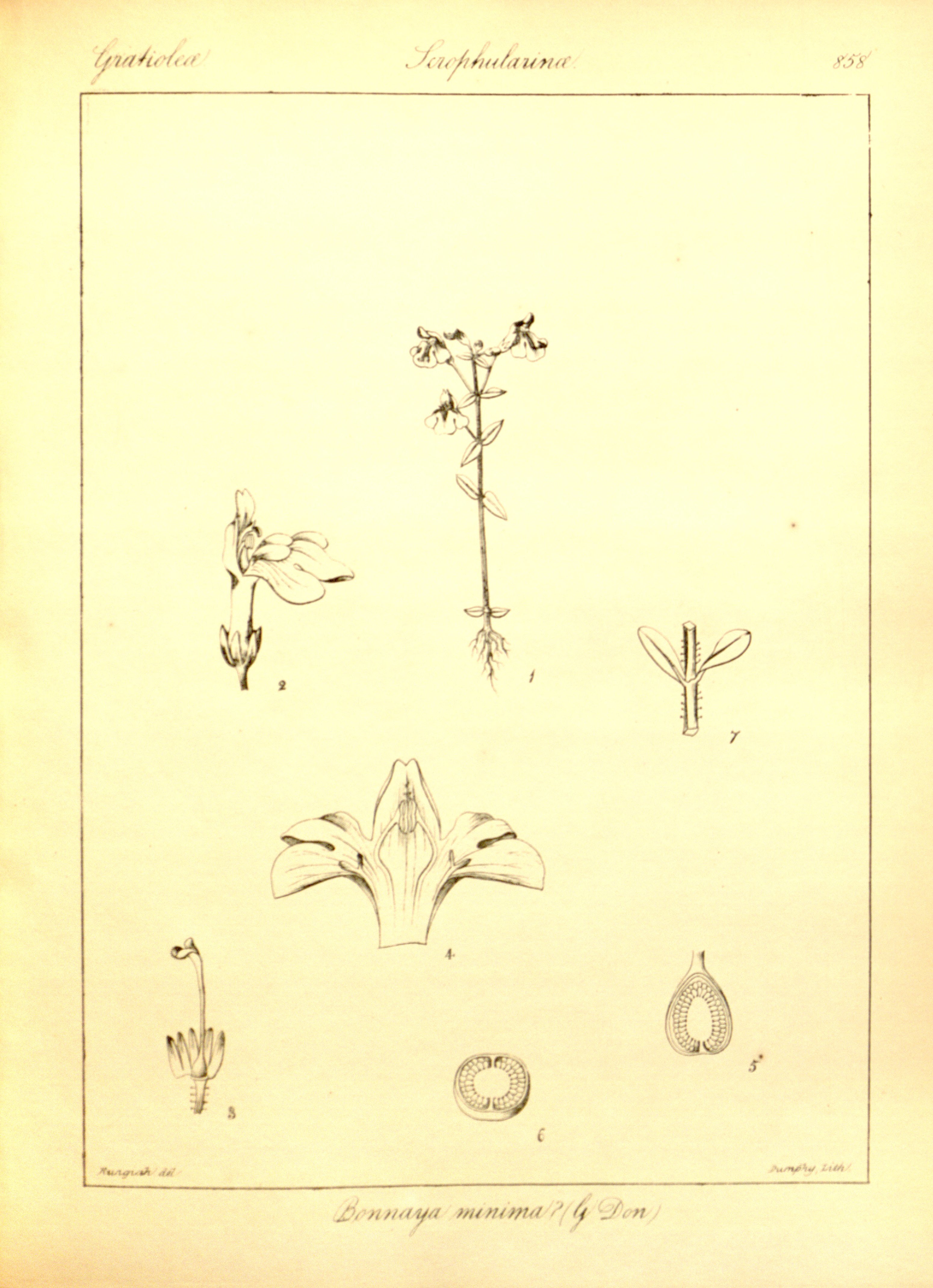 no full size  illustration available (3a)