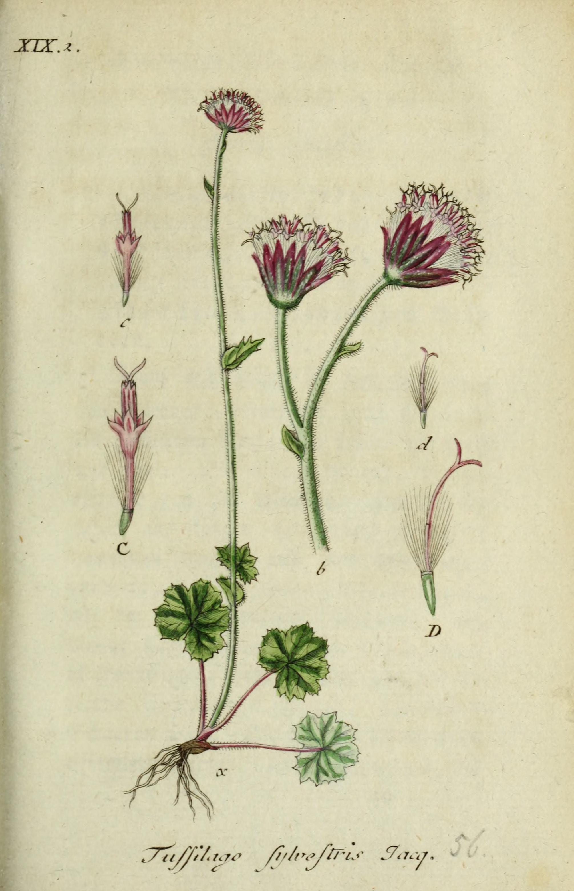 no full size  illustration available (3a)