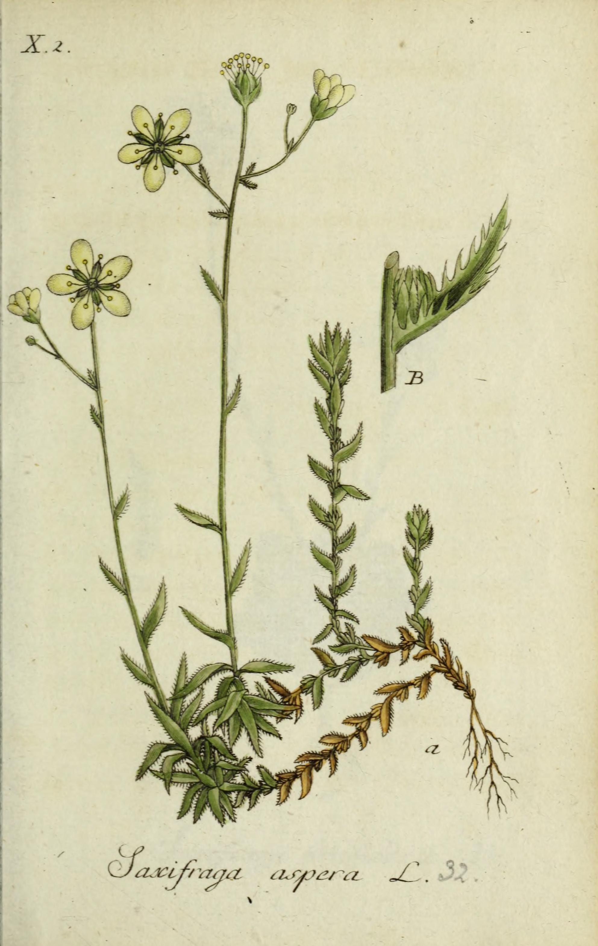 no full size  illustration available (3a)