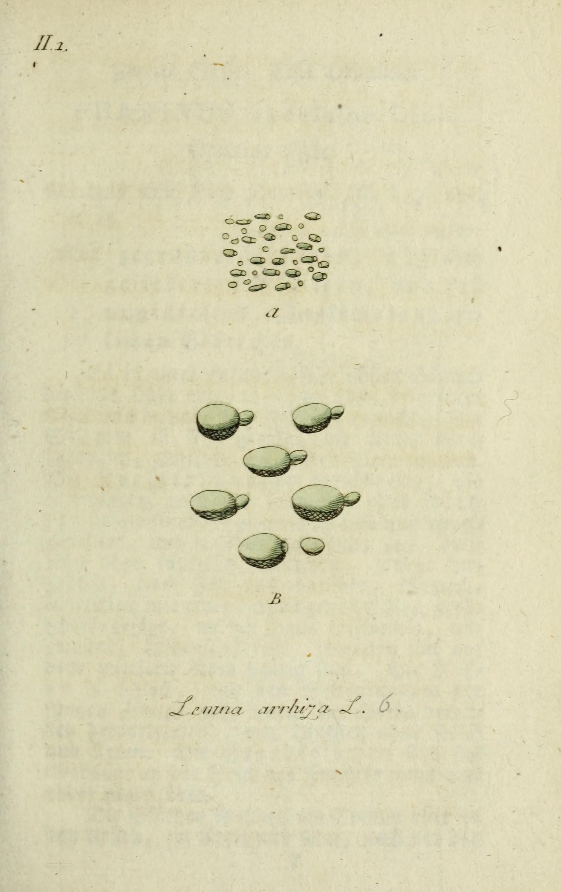 no full size  illustration available (3a)