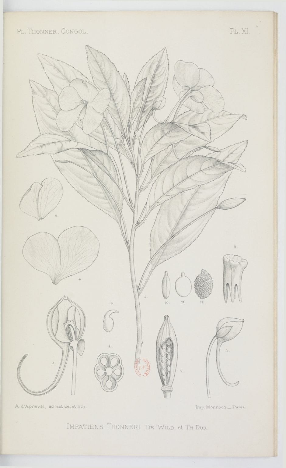 no full size  illustration available (3a)