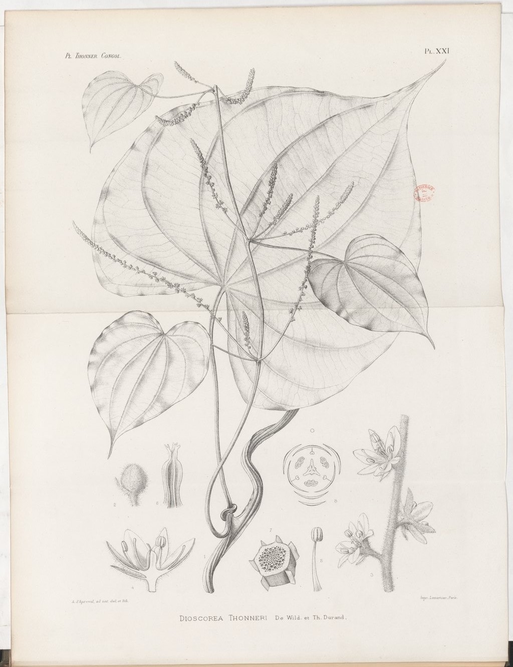 no full size  illustration available (3a)